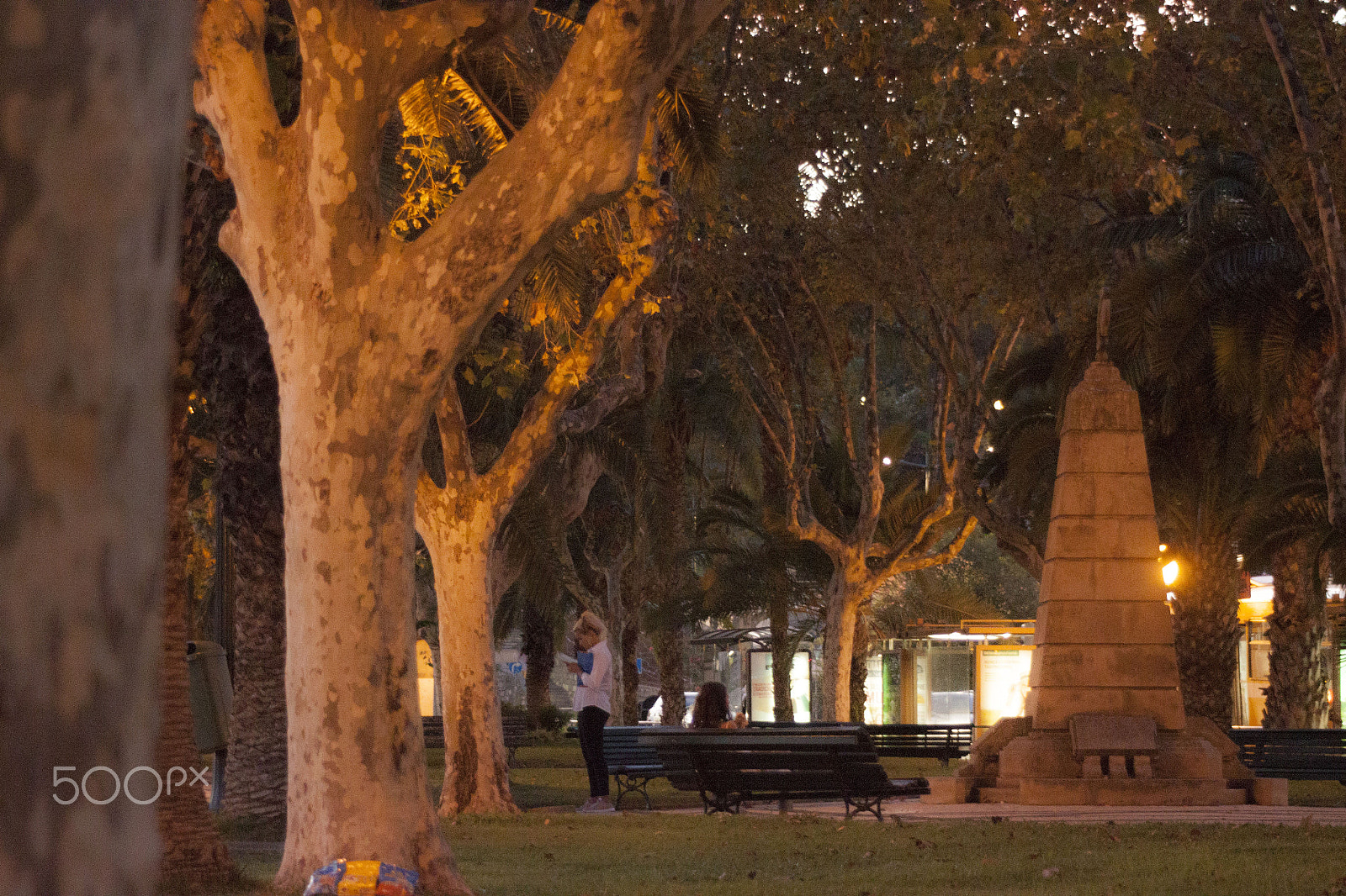 Canon EF 80-200mm F4.5-5.6 II sample photo. Evening light... photography