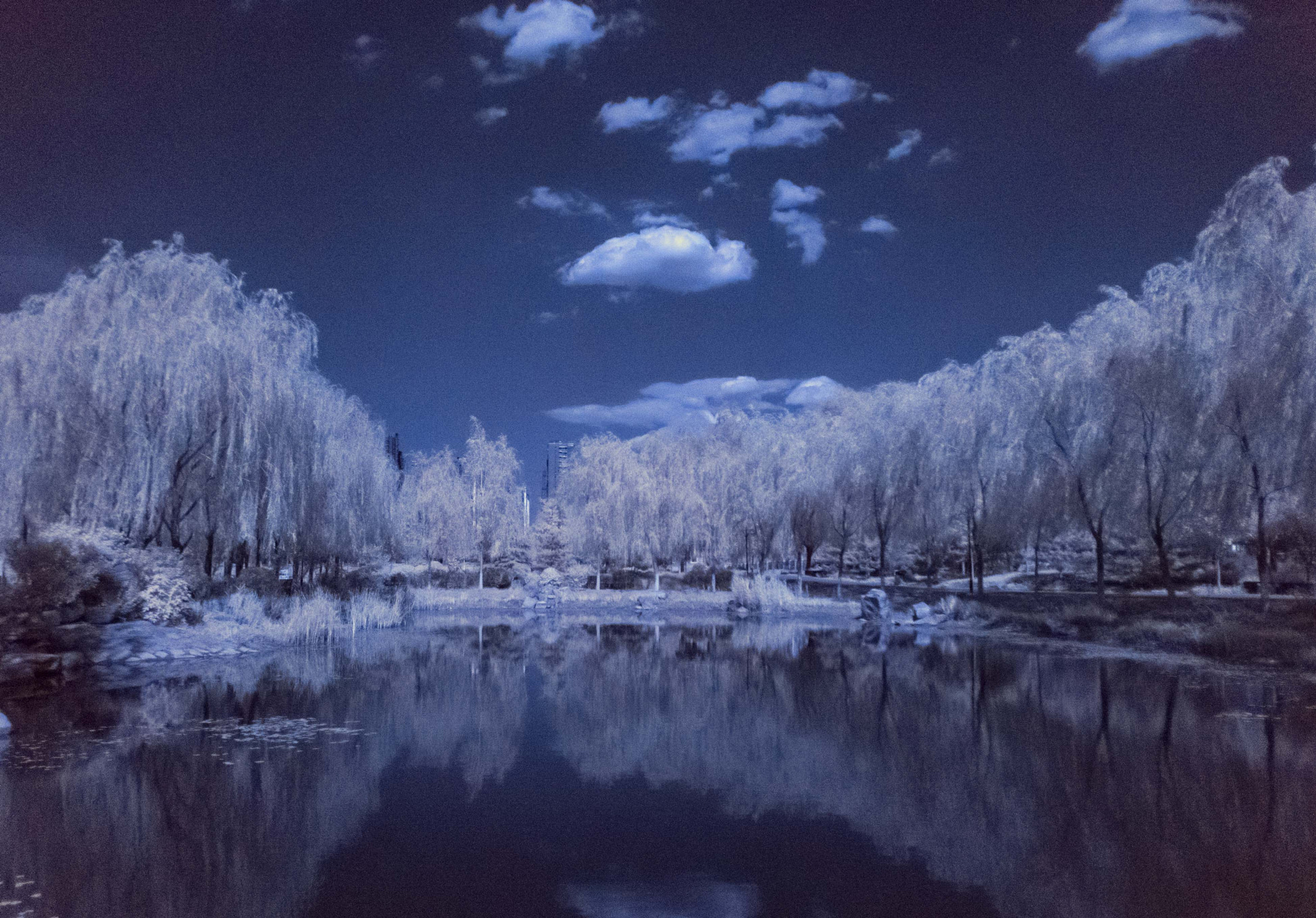 Pentax smc DA 15mm F4 ED AL Limited sample photo. Frozen world photography
