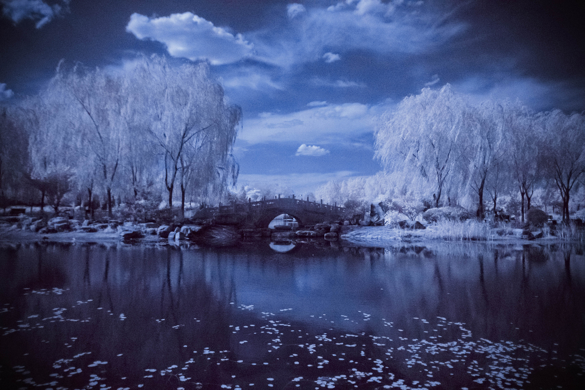Pentax smc DA 15mm F4 ED AL Limited sample photo. Frozen world photography