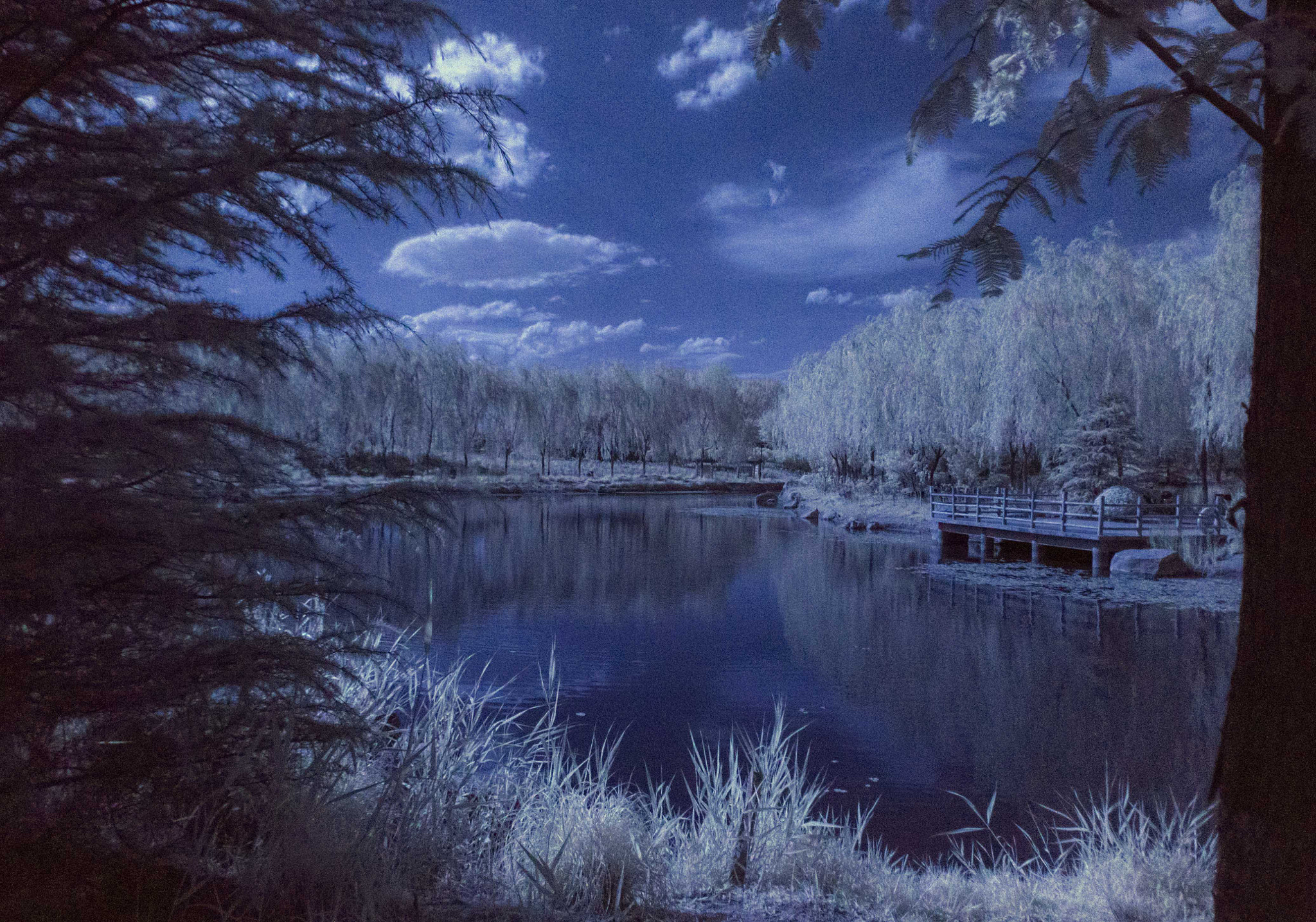 Pentax smc DA 15mm F4 ED AL Limited sample photo. Frozen world photography