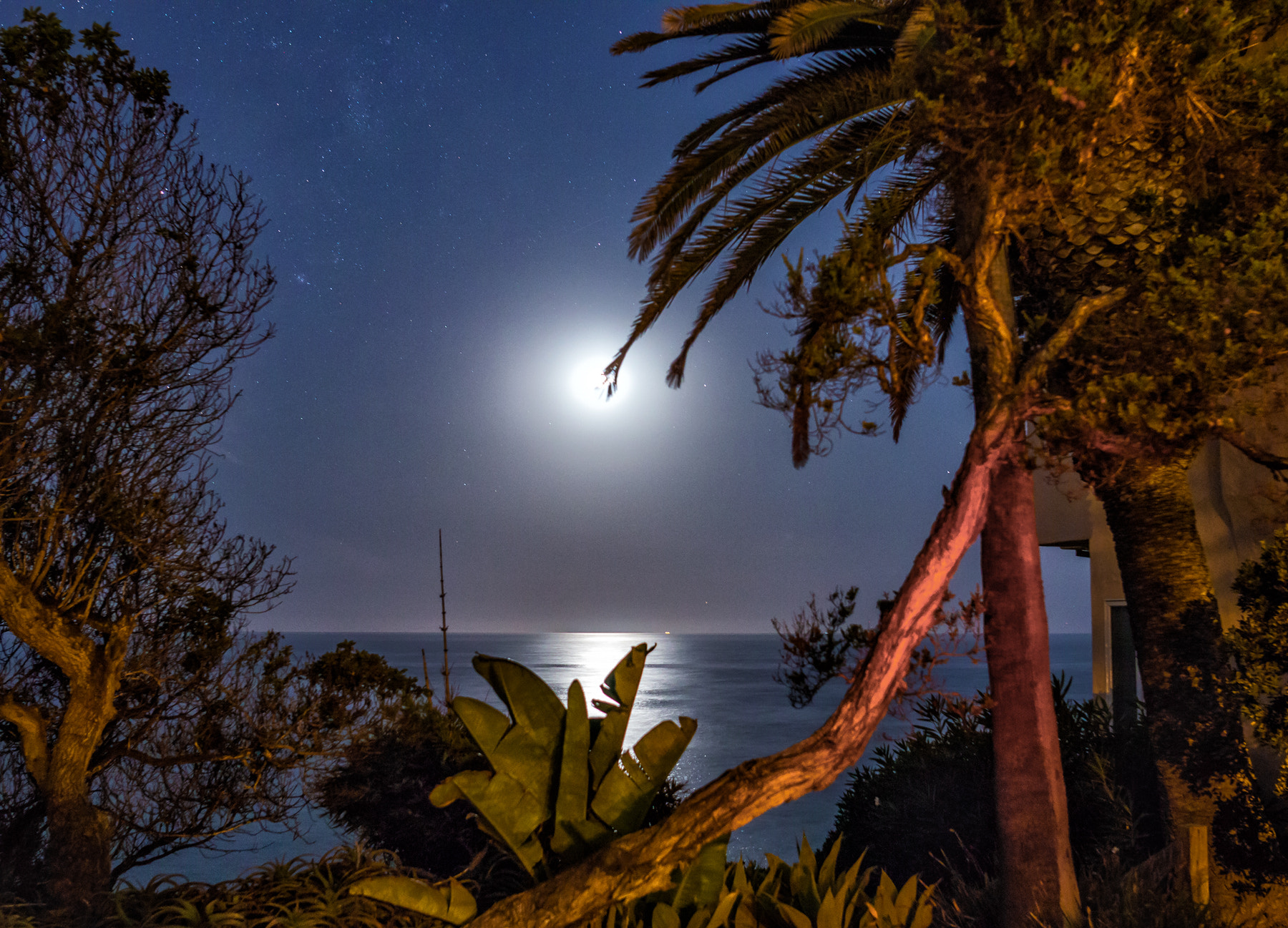 Sigma 24mm F1.4 DG HSM Art sample photo. Moonlit beach walk photography