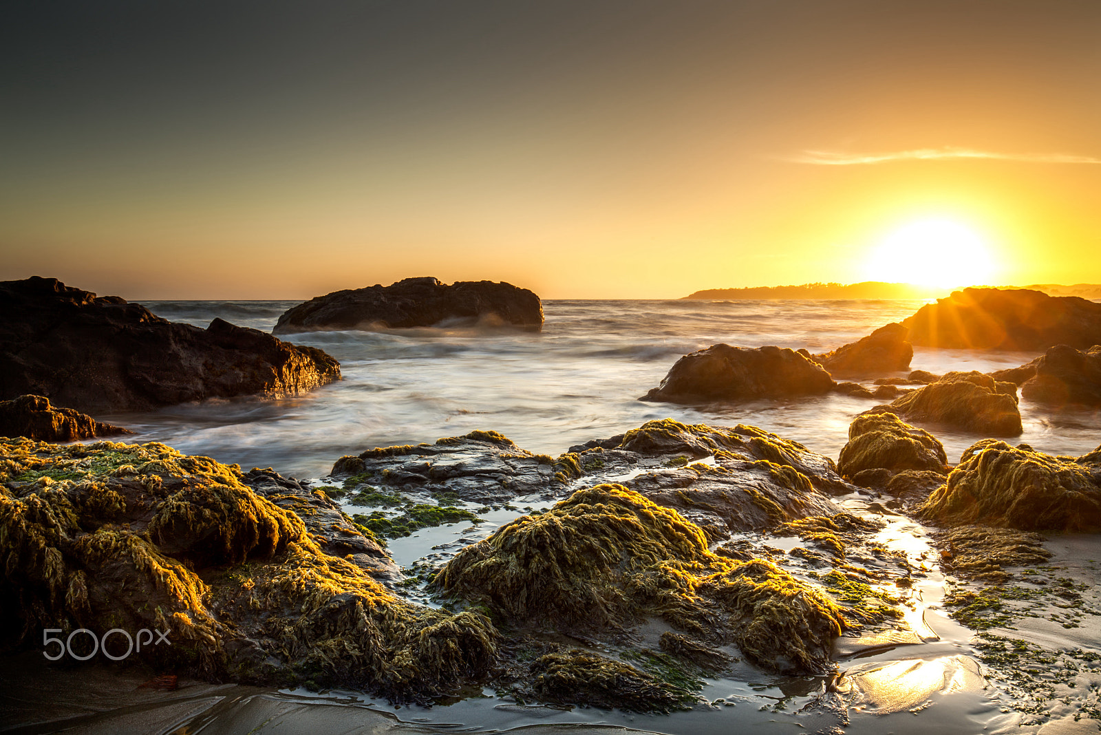 Canon EF 16-35mm F4L IS USM sample photo. Golden sunset photography