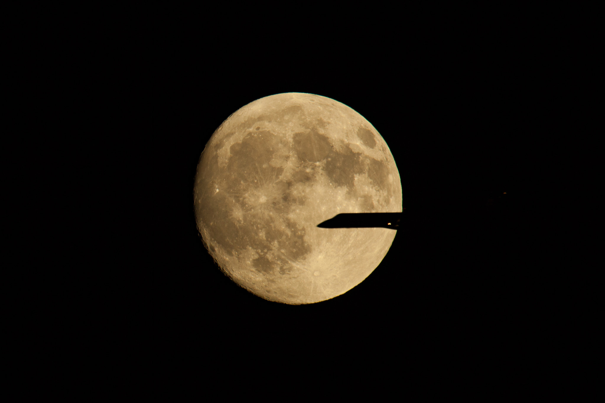 Canon EF 100-400mm F4.5-5.6L IS USM sample photo. Just flying by. photography