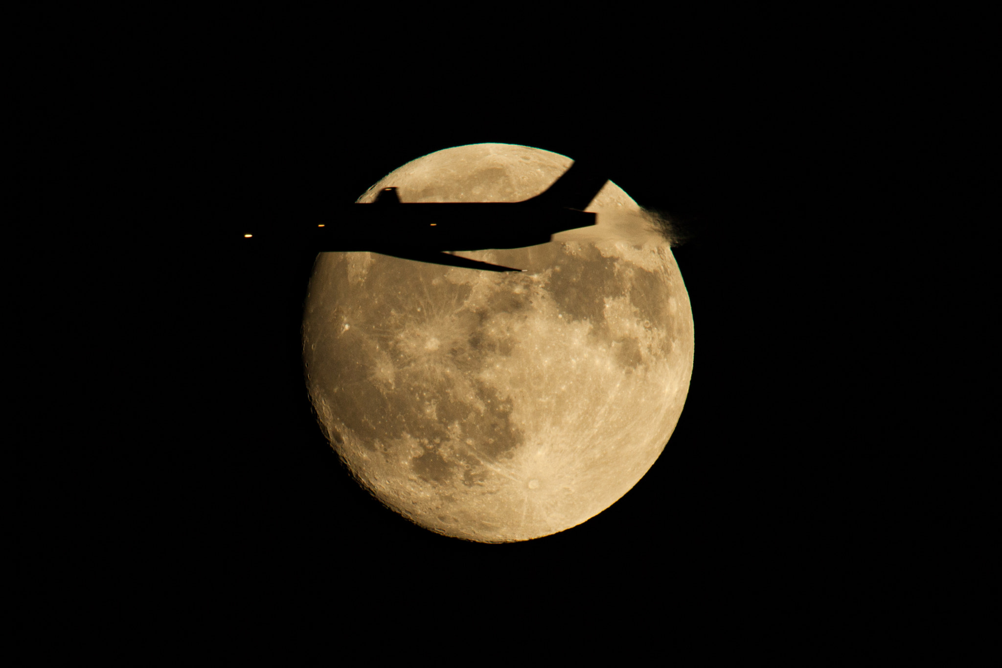 Canon EF 100-400mm F4.5-5.6L IS USM sample photo. Under blue moon i saw you... photography