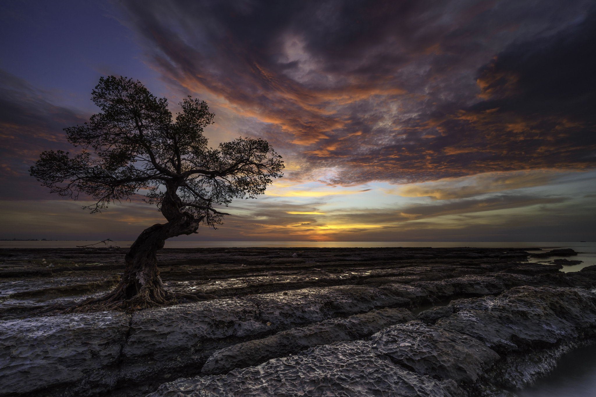 Sony a7 II + Voigtlander SUPER WIDE-HELIAR 15mm F4.5 III sample photo. In love with you photography