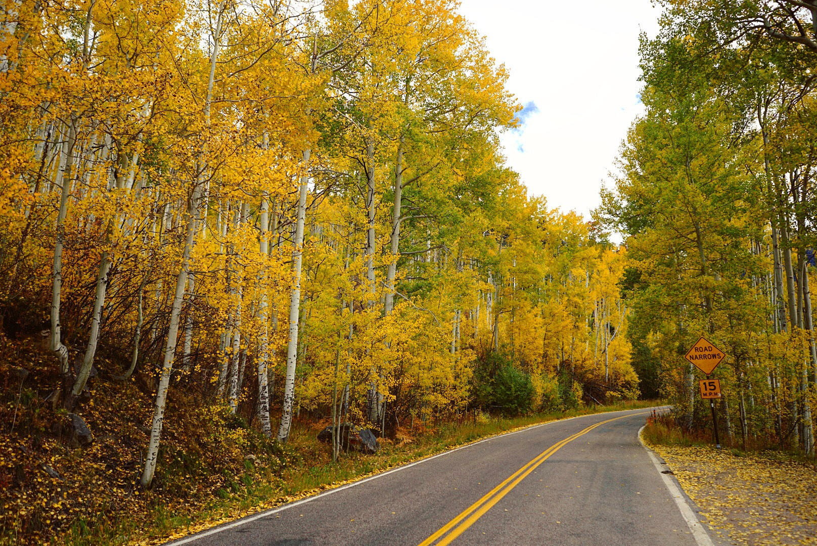 Sony a7 II + Sony FE 28mm F2 sample photo. Gold fall of independence pass, colorado photography