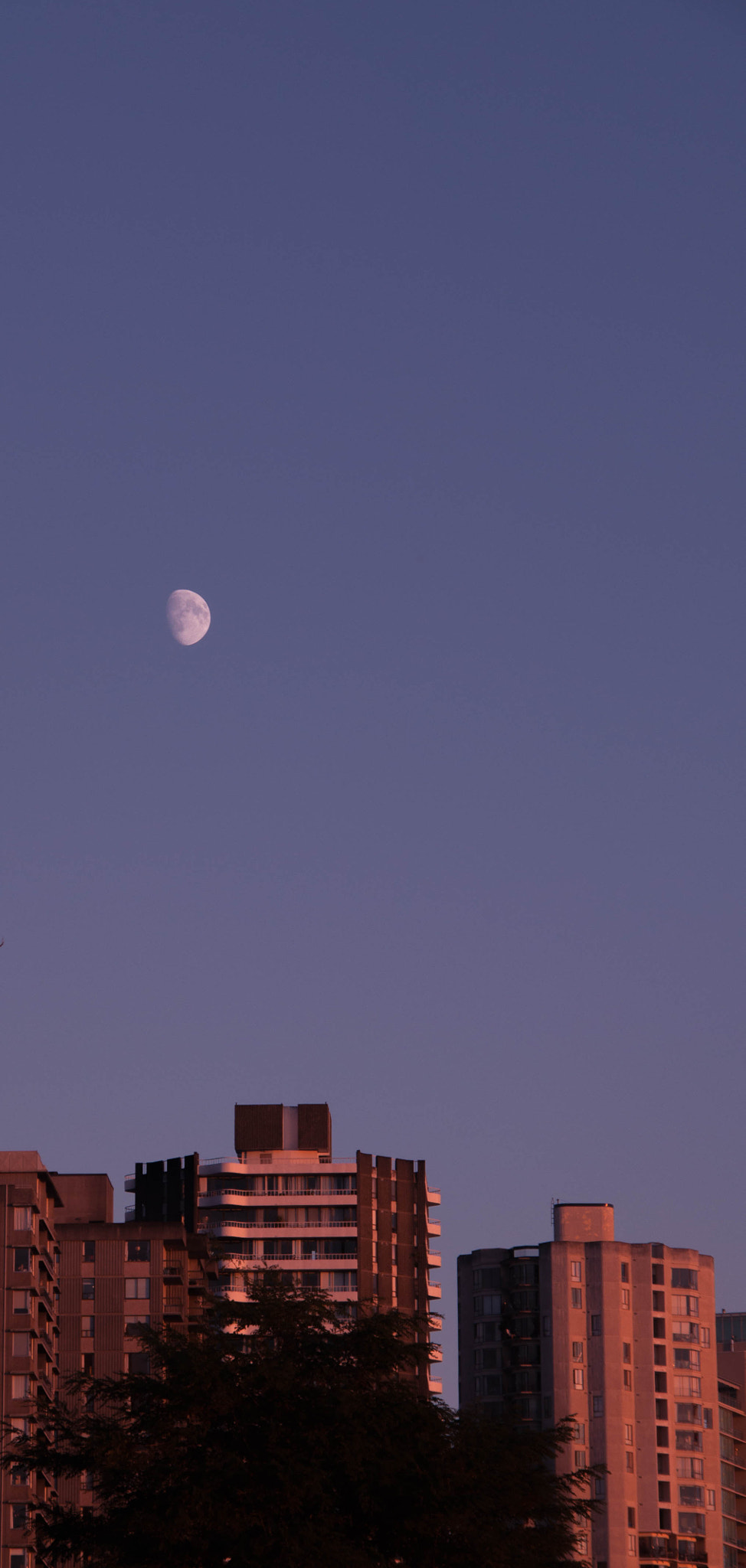 Sigma 18-200mm F3.5-6.3 DC OS HSM sample photo. Dsc photography