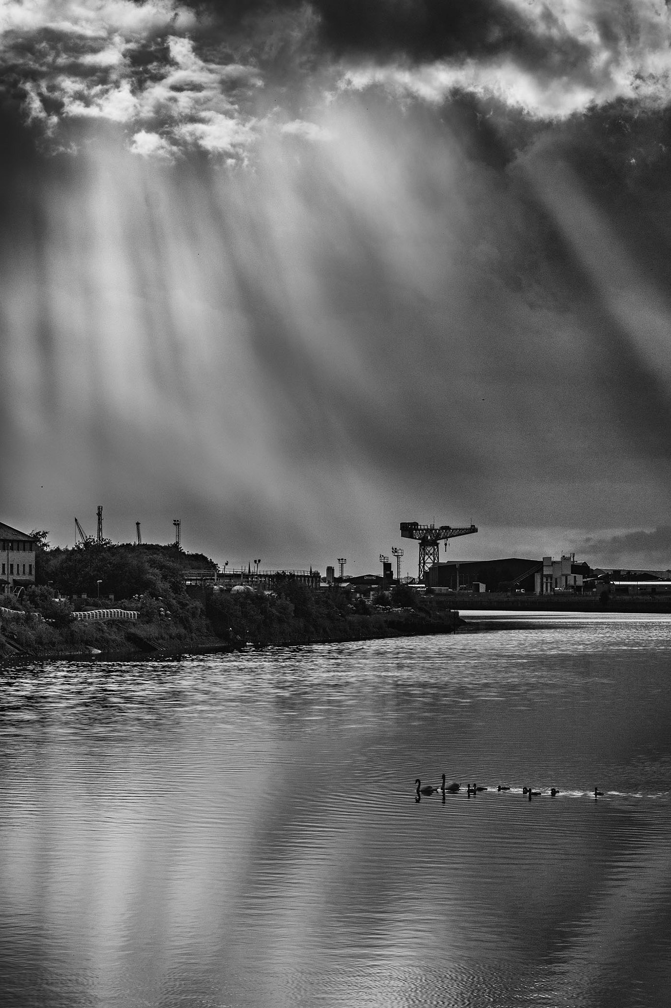 Sony SLT-A65 (SLT-A65V) sample photo. Evening sun on the clyde photography