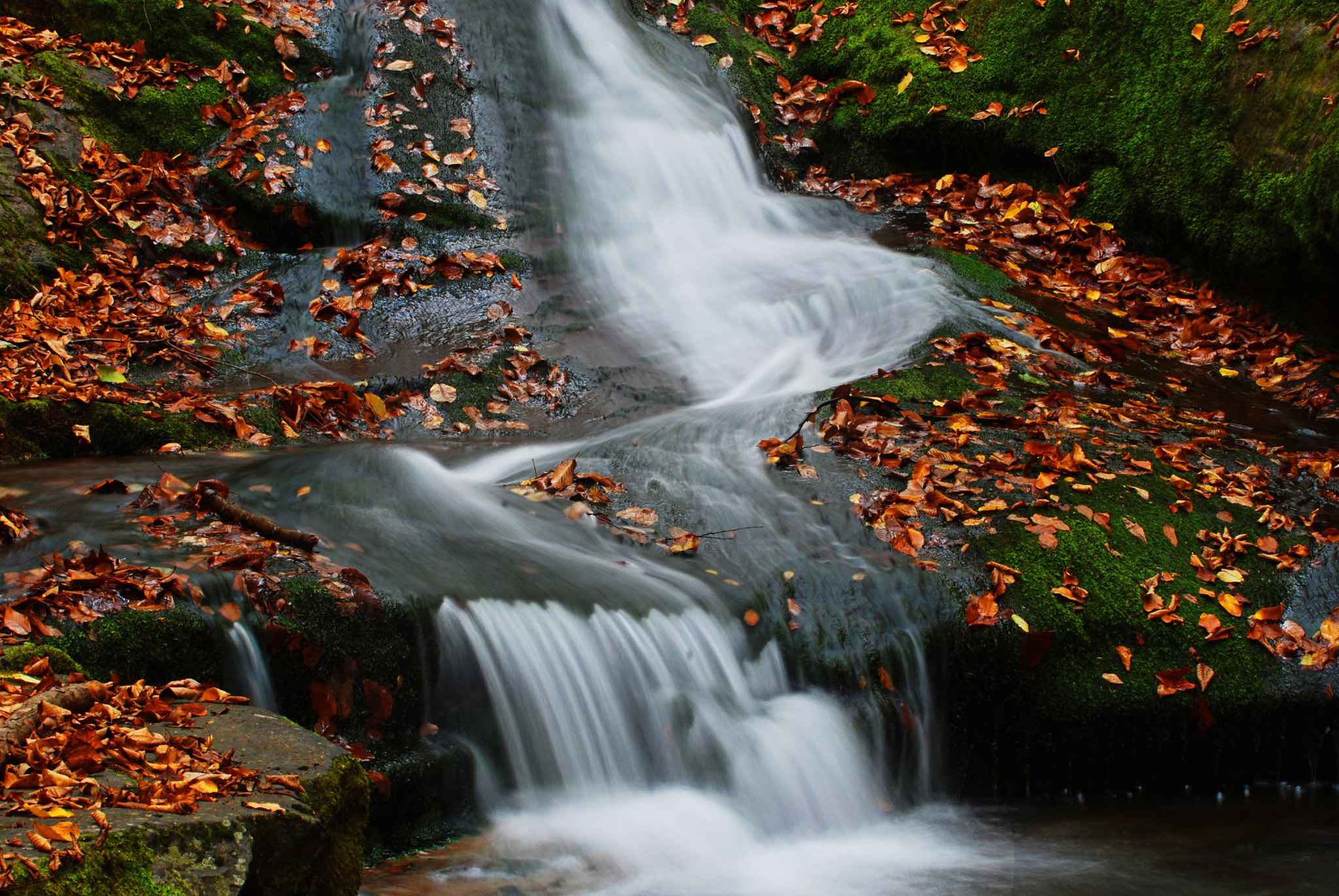 Nikon D80 sample photo. Fall in the delaware water gap in nj photography