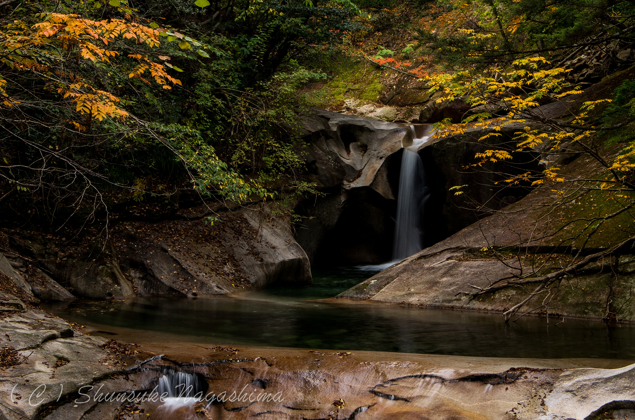 Pentax smc DA 16-45mm F4 ED AL sample photo. Autumn flavor photography