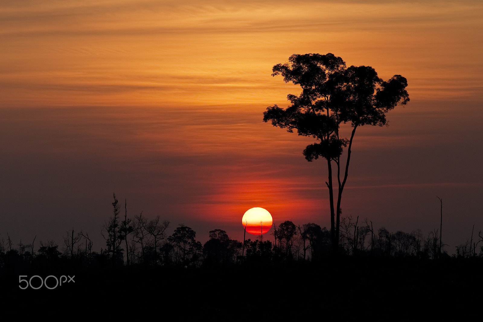 Canon EOS 6D + Canon EF 200mm F2.8L II USM sample photo. The sunset photography