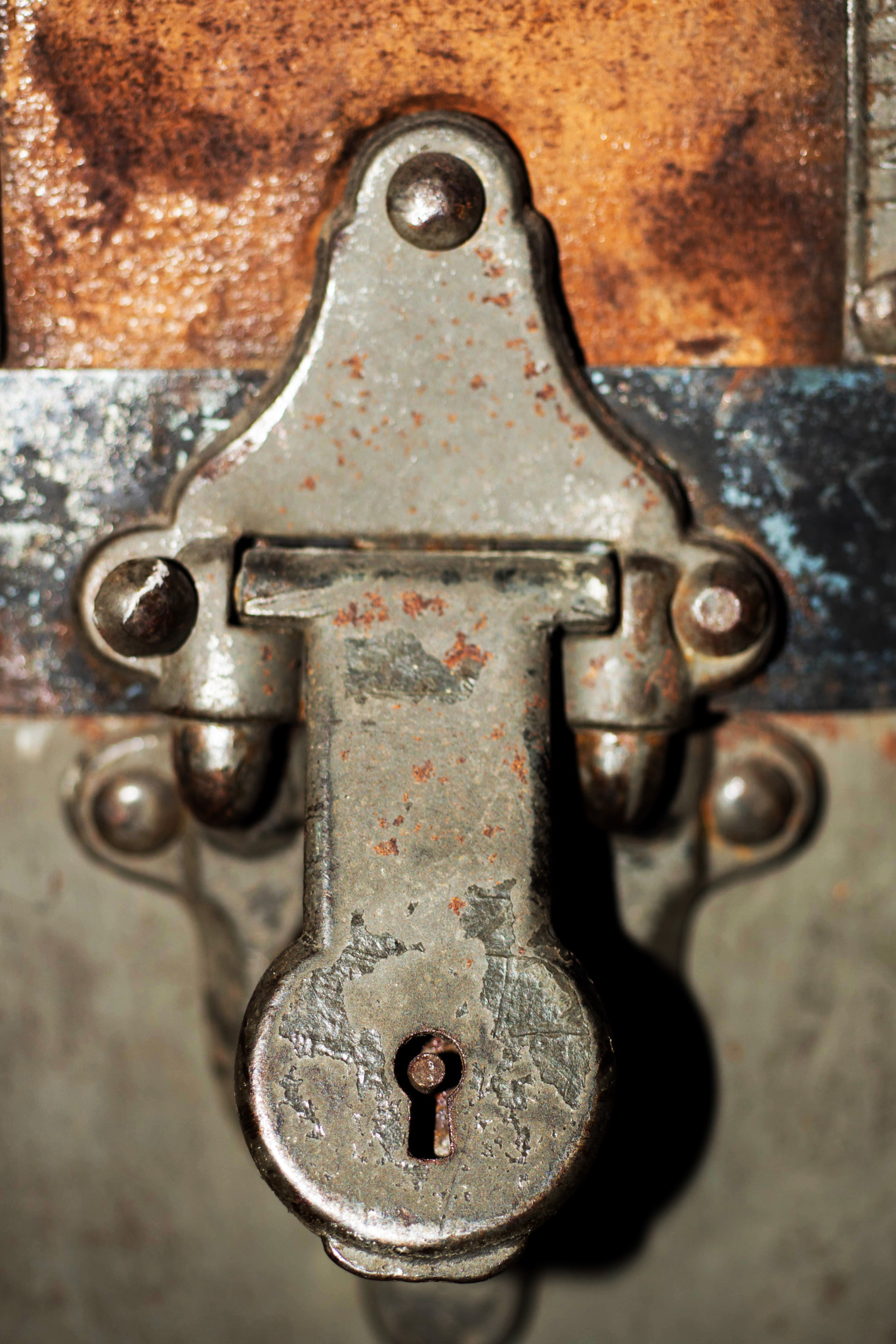 Sony SLT-A68 + MACRO 50mm F2.8 sample photo. Forever unlocked photography