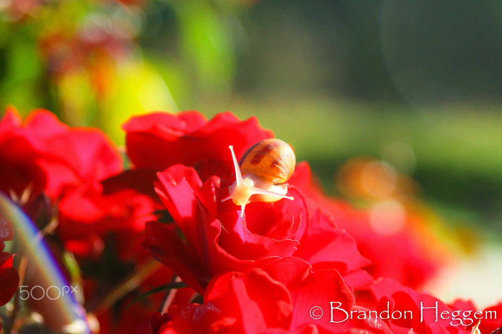 Canon EF 28-105mm f/3.5-4.5 USM sample photo. Img photography