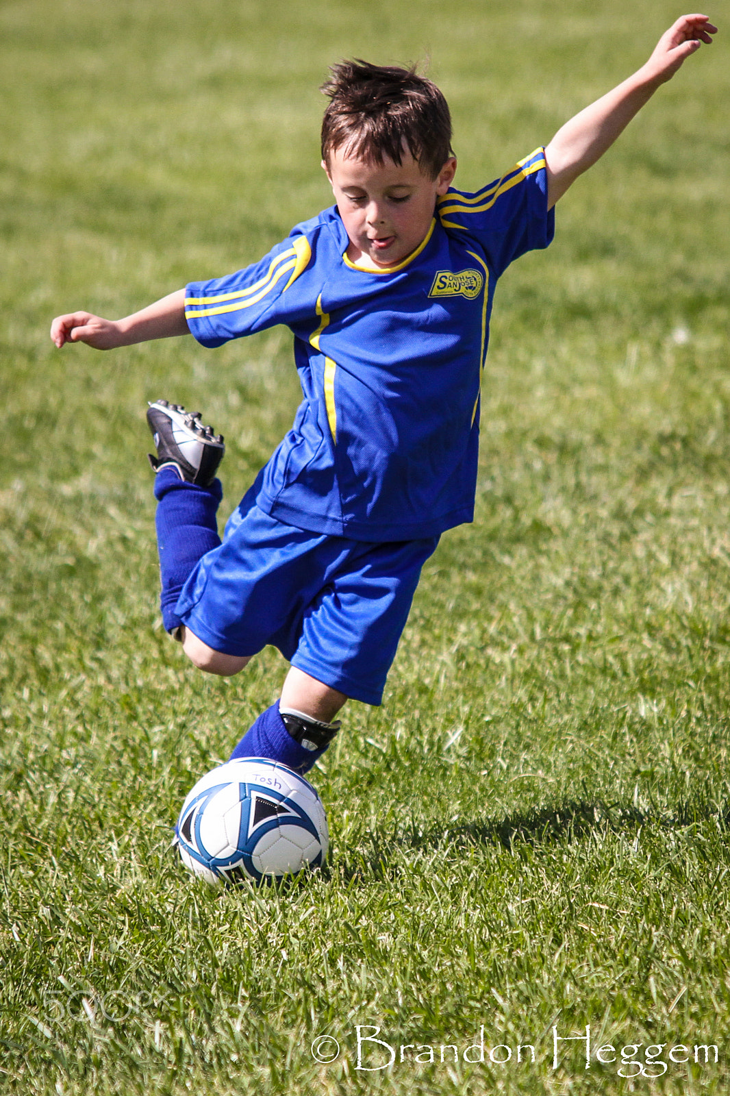 Sigma 70-200mm F2.8 EX DG OS HSM sample photo. Img photography