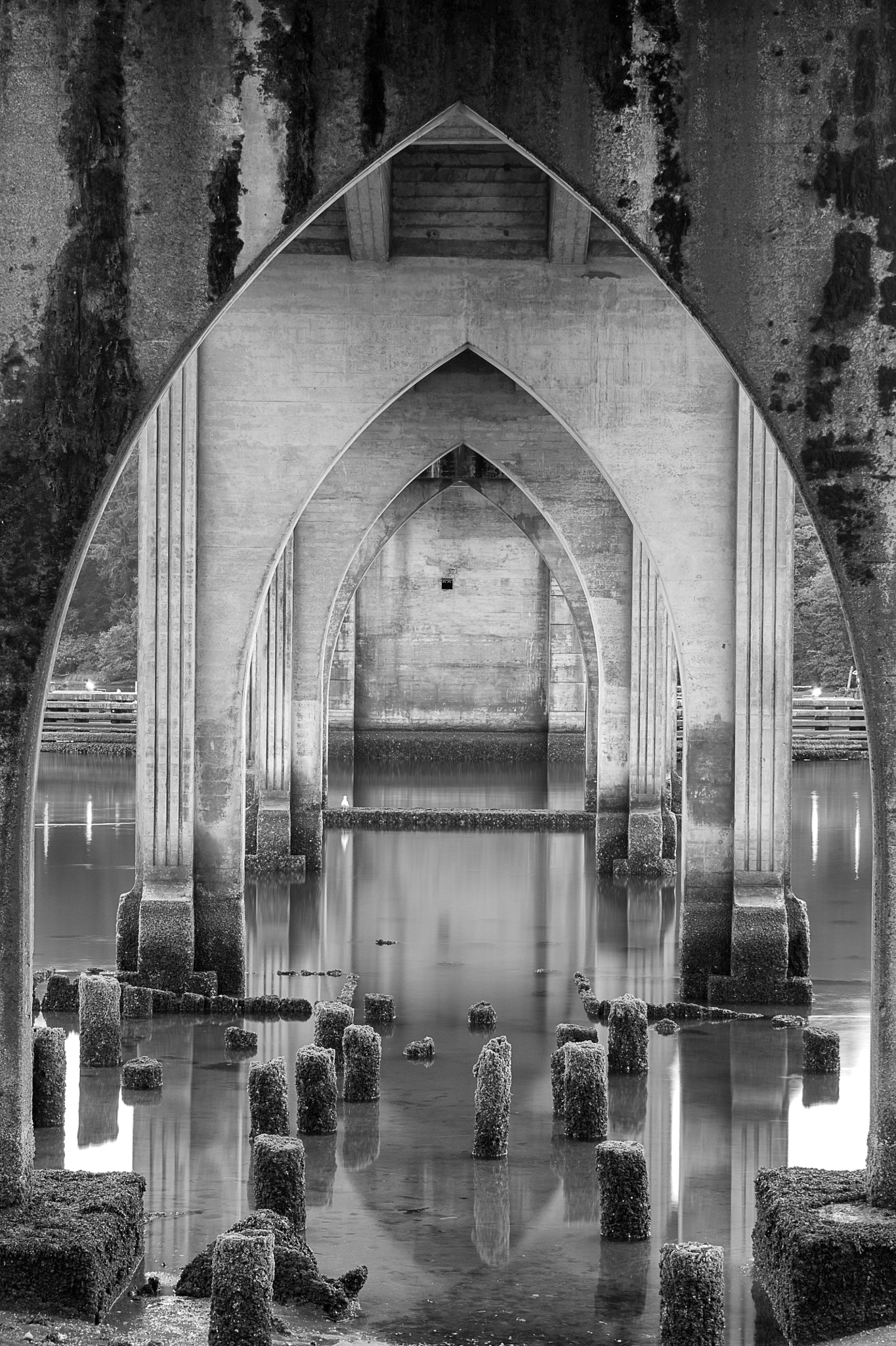 Canon EF-S 18-55mm F3.5-5.6 II sample photo. Siuslaw river bridge photography