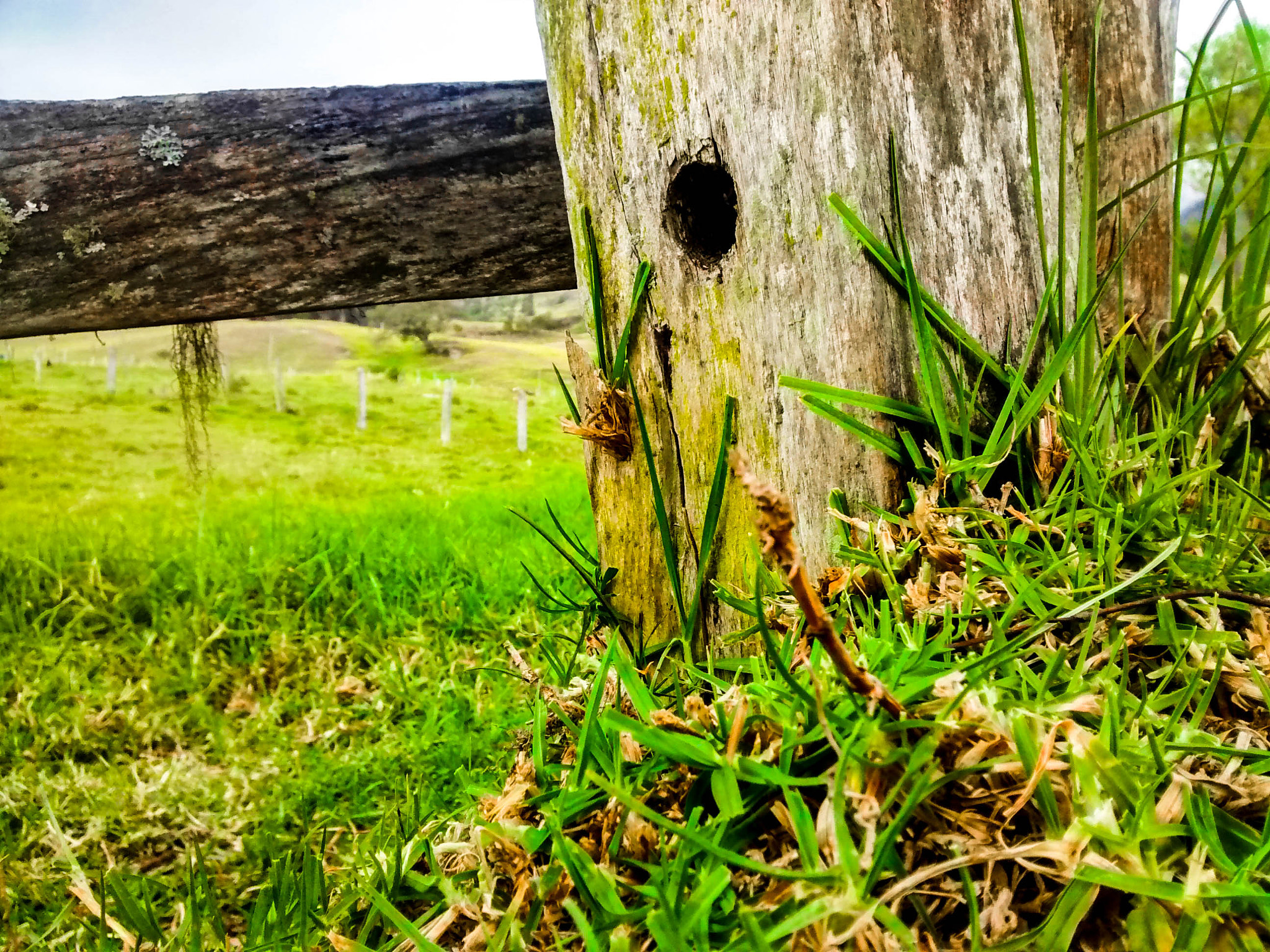 Motorola Moto G with 4G LTE (1st Gen) sample photo. Fence photography