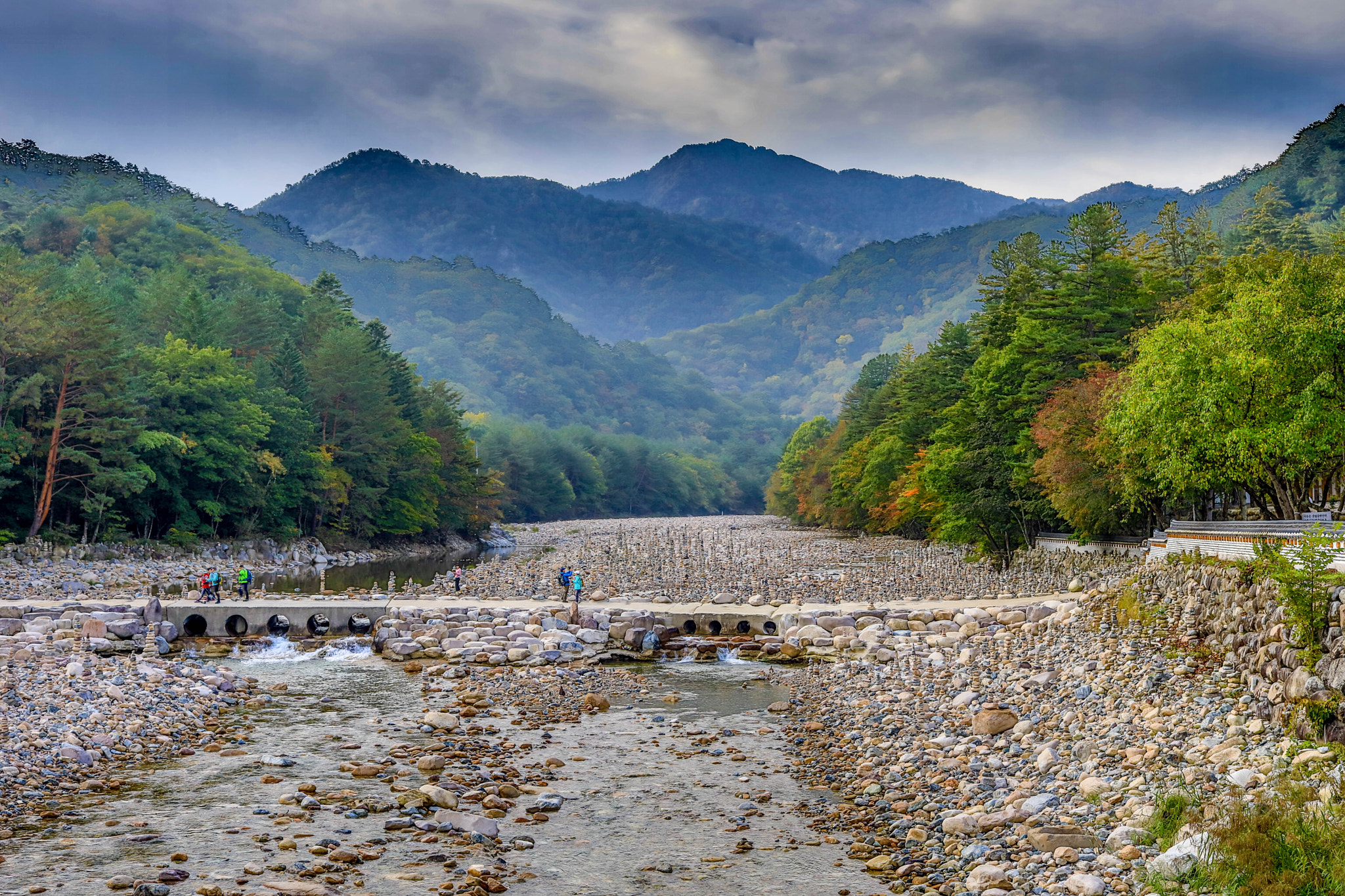 Canon EF 40mm F2.8 STM sample photo. Ta photography