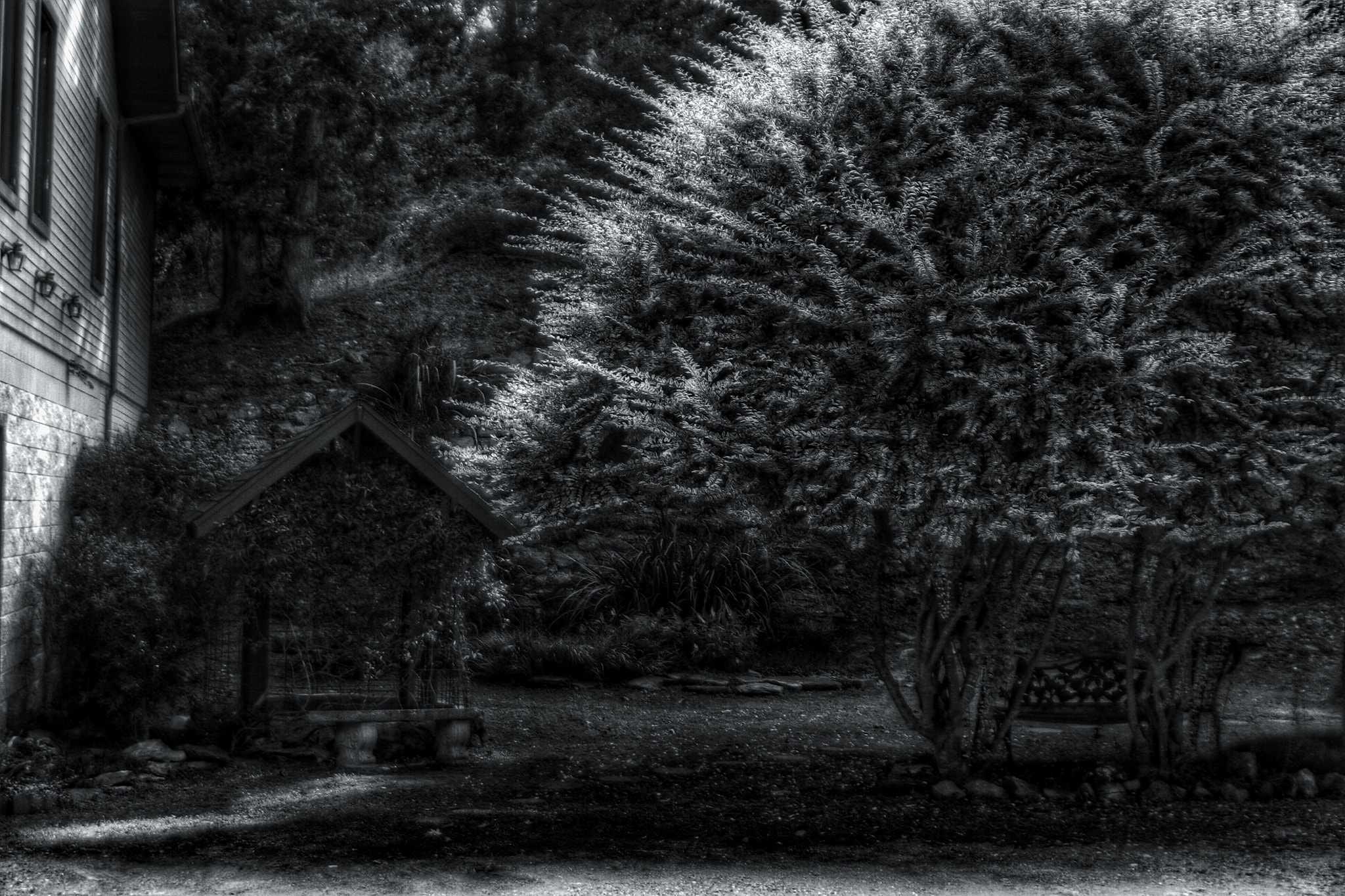 Tamron AF 28-200mm F3.8-5.6 XR Di Aspherical (IF) Macro sample photo. Bear springs in black and white photography