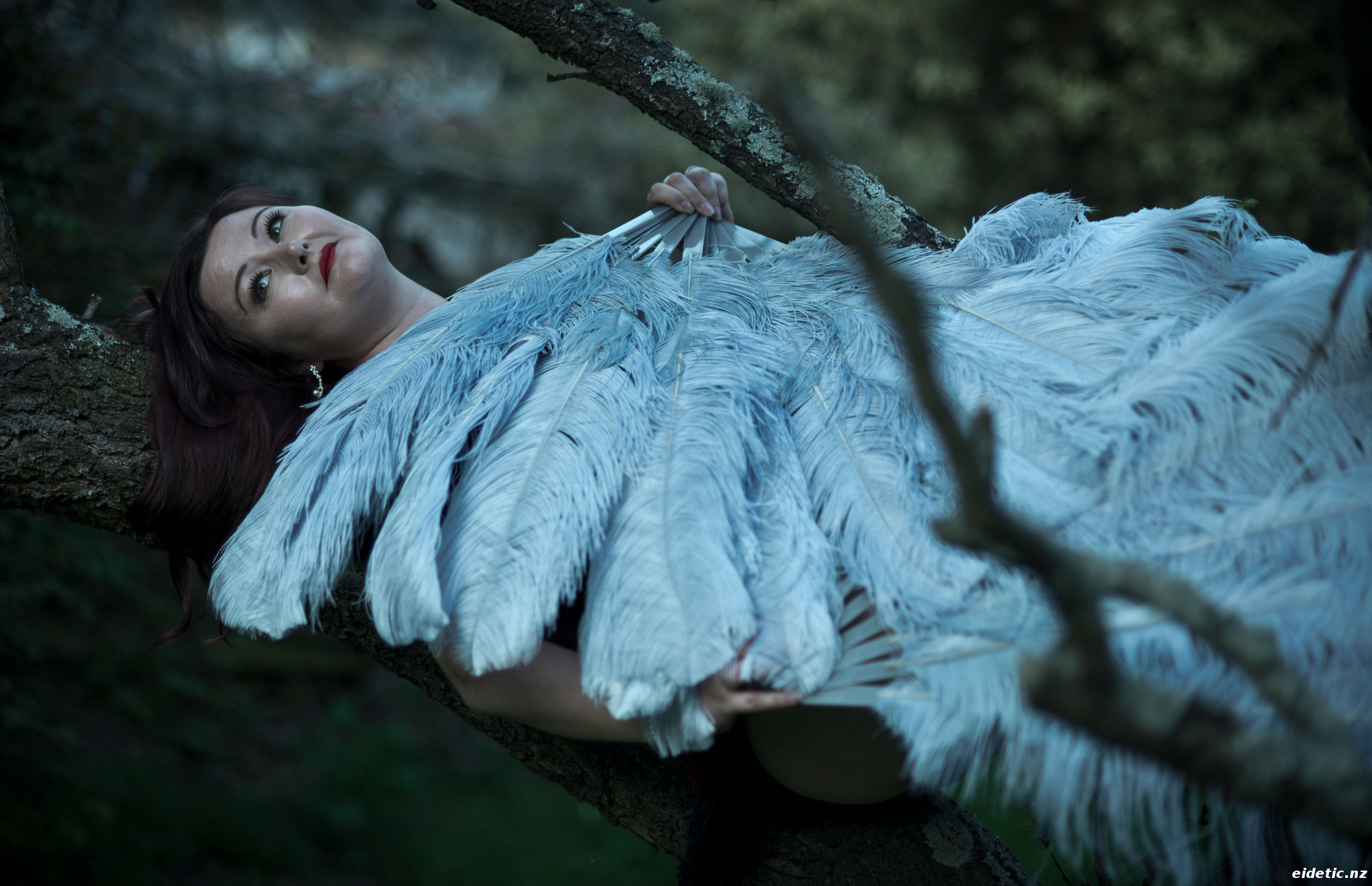 Nikon D600 + AF Nikkor 85mm f/1.8 sample photo. Wings photography