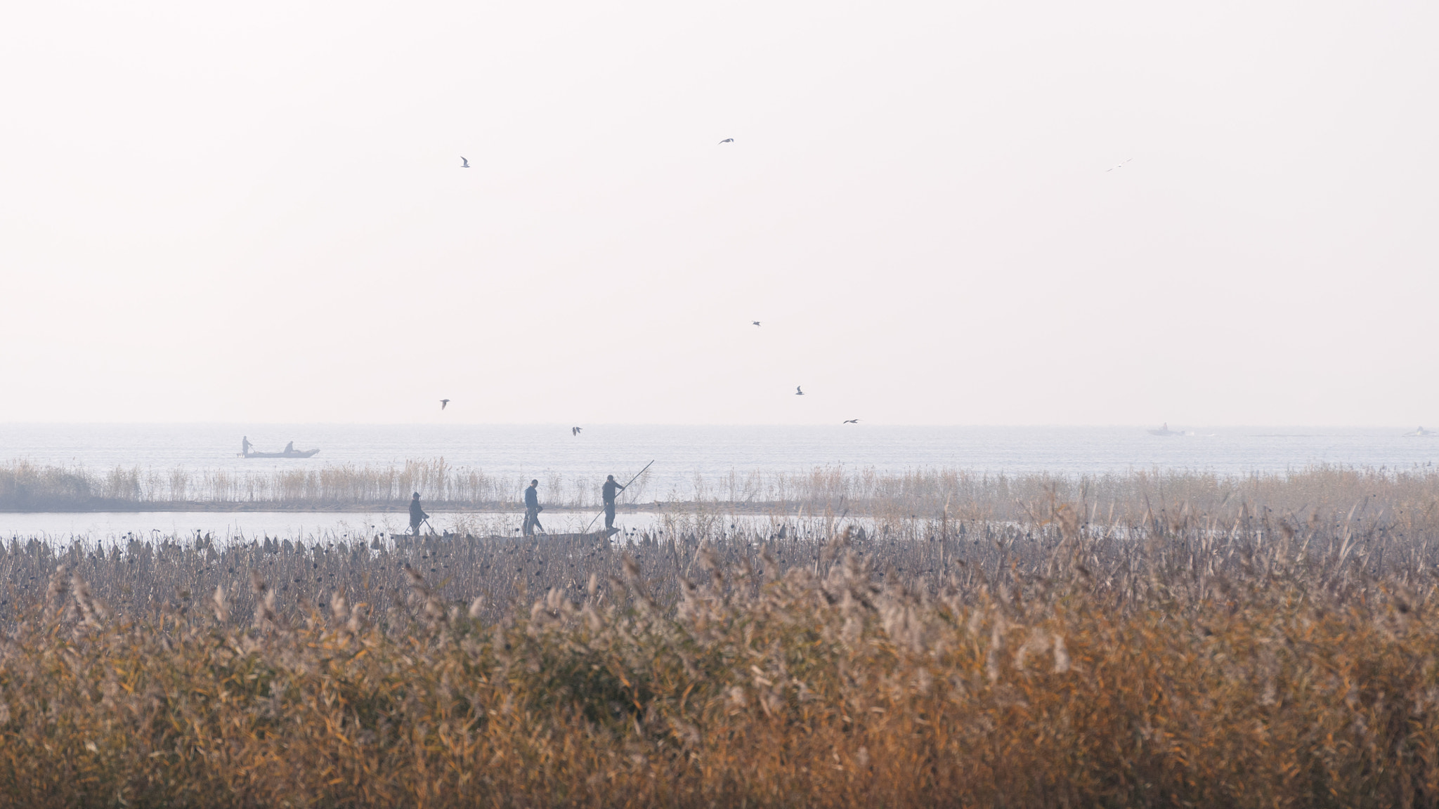 Nikon AF-S Nikkor 70-200mm F2.8G ED VR II sample photo. Autumn at lake side photography