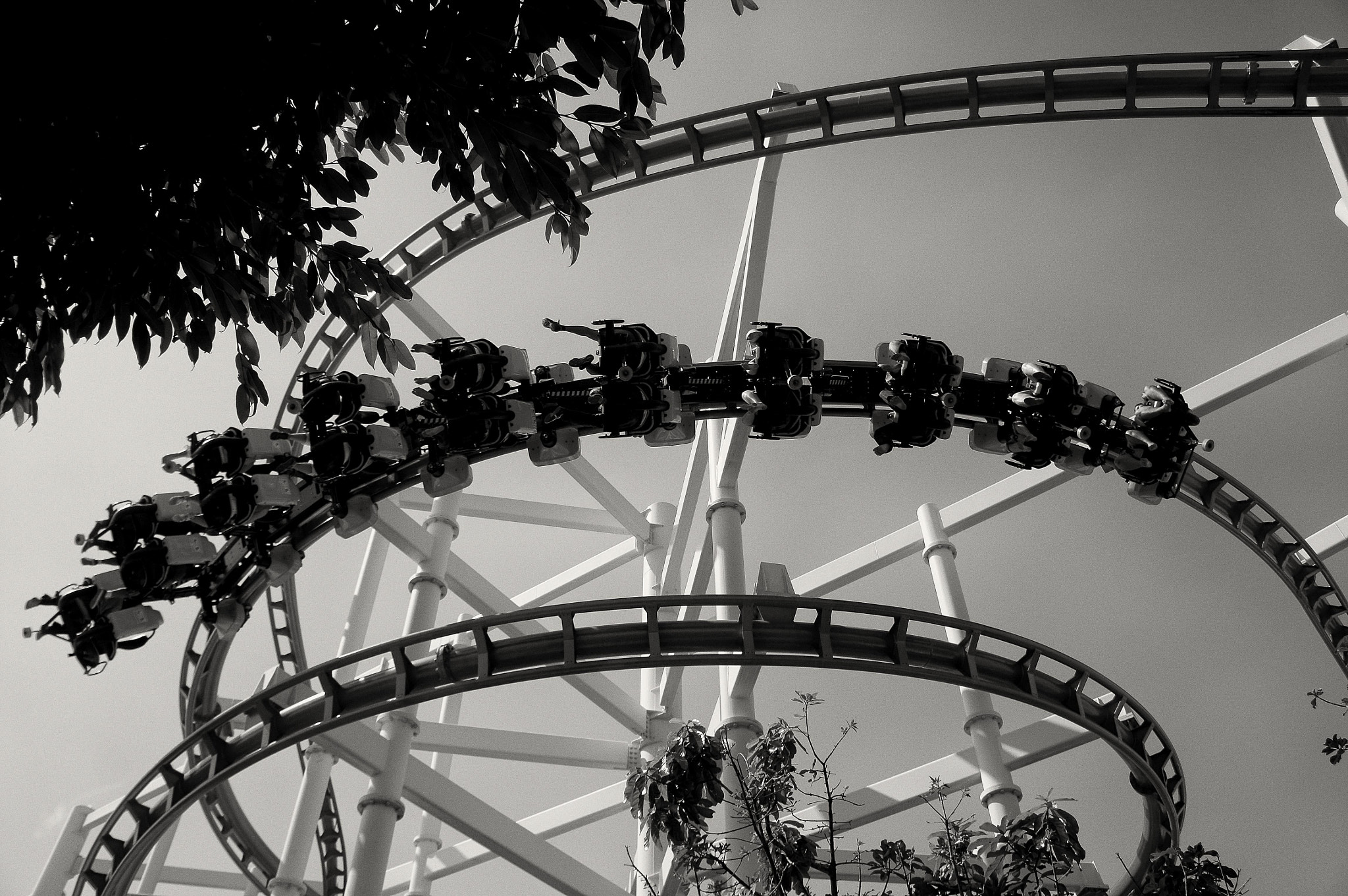 Sony Alpha NEX-3 sample photo. Roller coaster photography