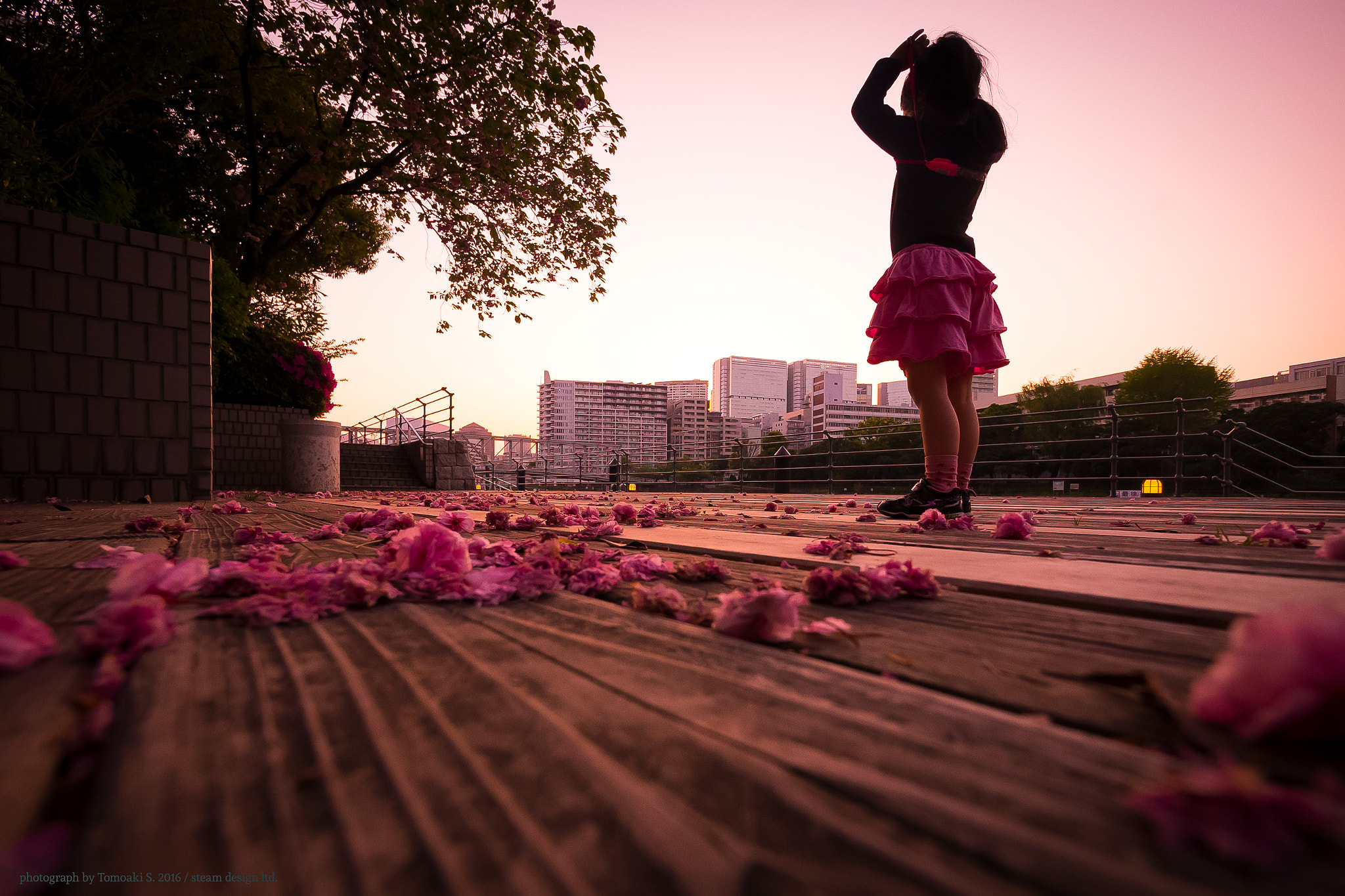 Panasonic Lumix DMC-GX7 + Panasonic Lumix G Vario 7-14mm F4 ASPH sample photo. Pinky sunset photography