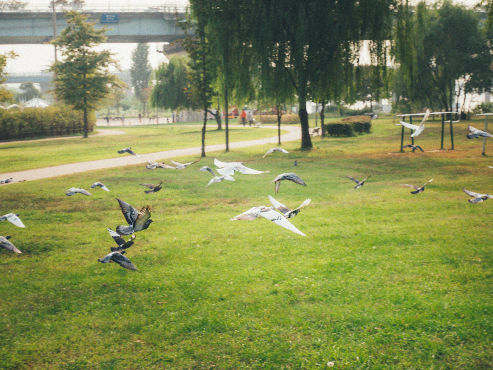 Panasonic Lumix DMC-GX85 (Lumix DMC-GX80 / Lumix DMC-GX7 Mark II) sample photo