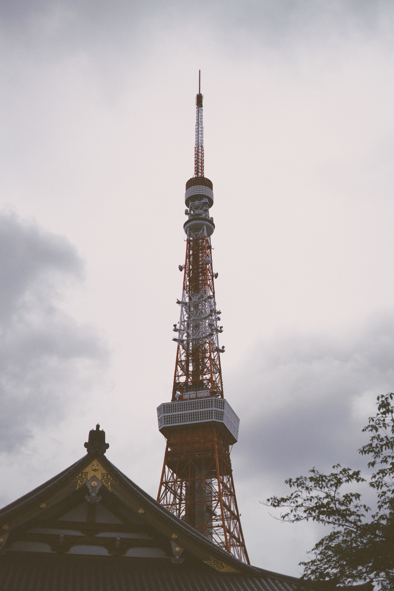E 50mm F2 sample photo