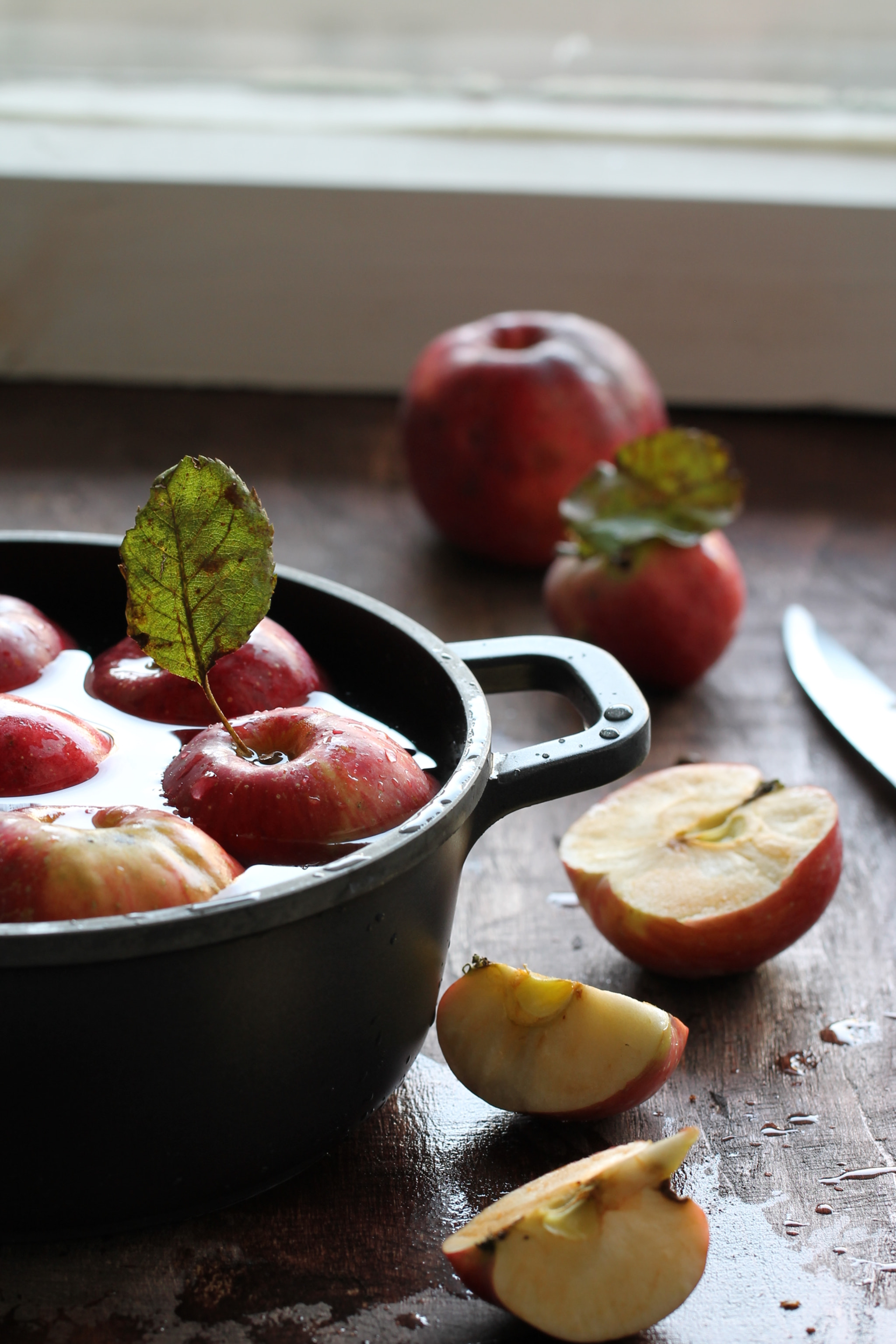 Canon EF 100mm F2.8L Macro IS USM sample photo. Apples in water photography