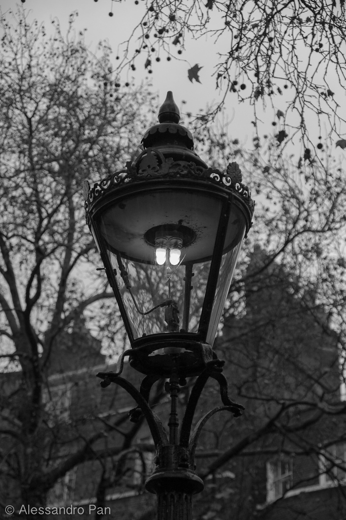 Nikon D50 sample photo. A lamp in london photography