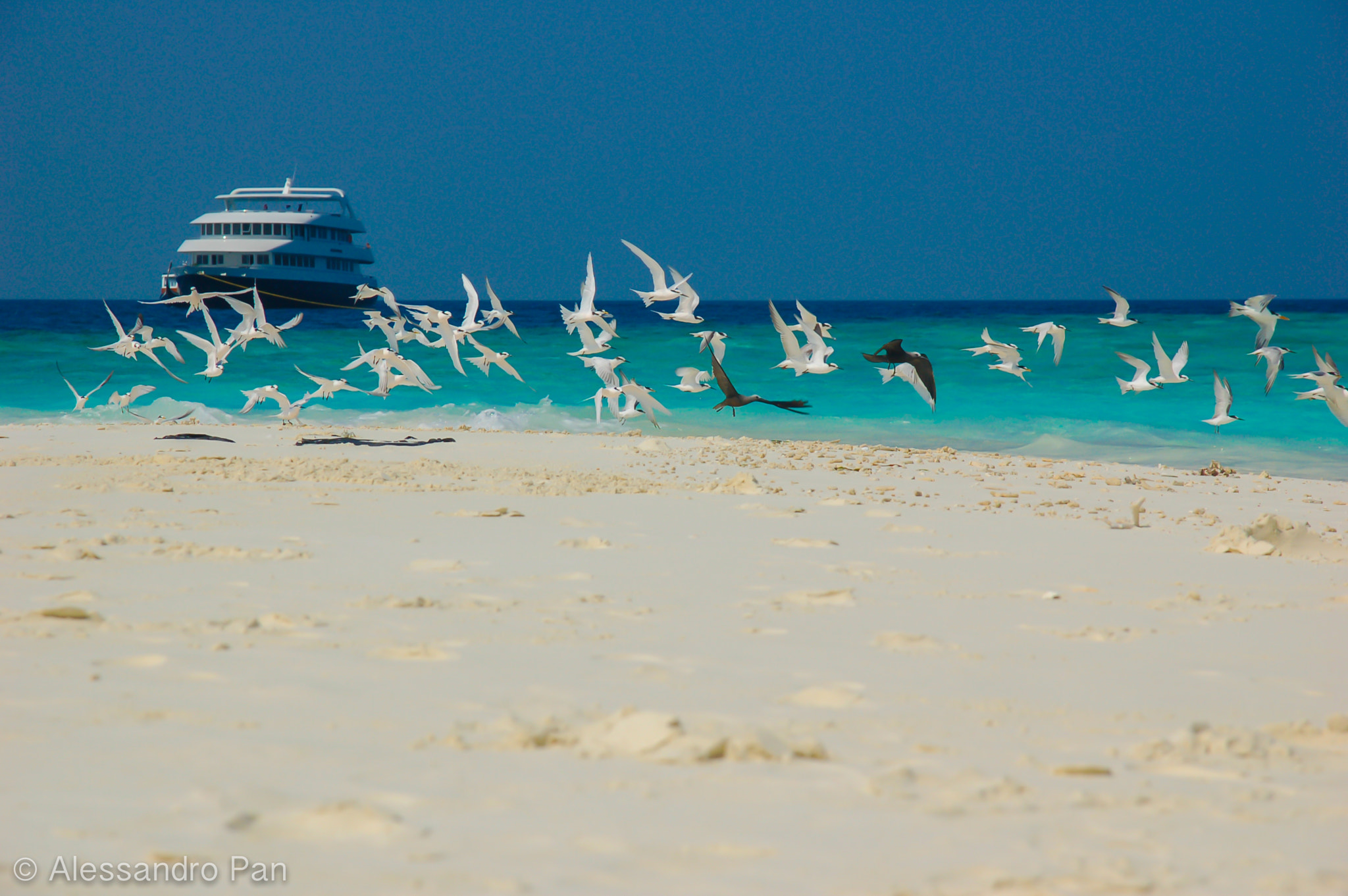 Nikon D50 sample photo. Dreams in maldives photography