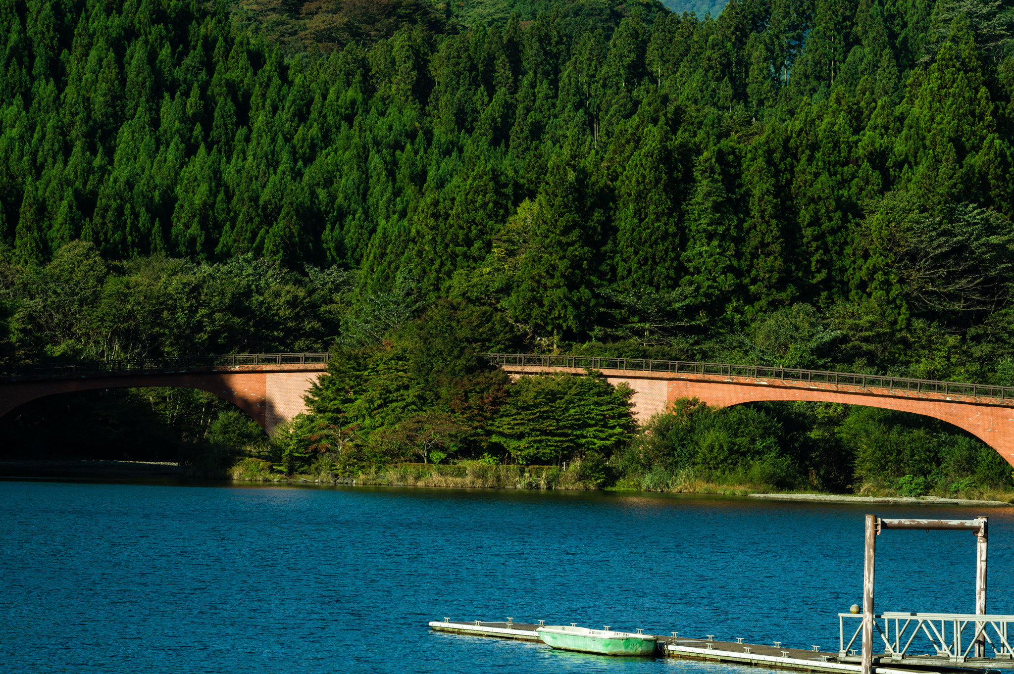 Pentax D FA* 70-200mm F2.8ED DC AW sample photo. ** photography