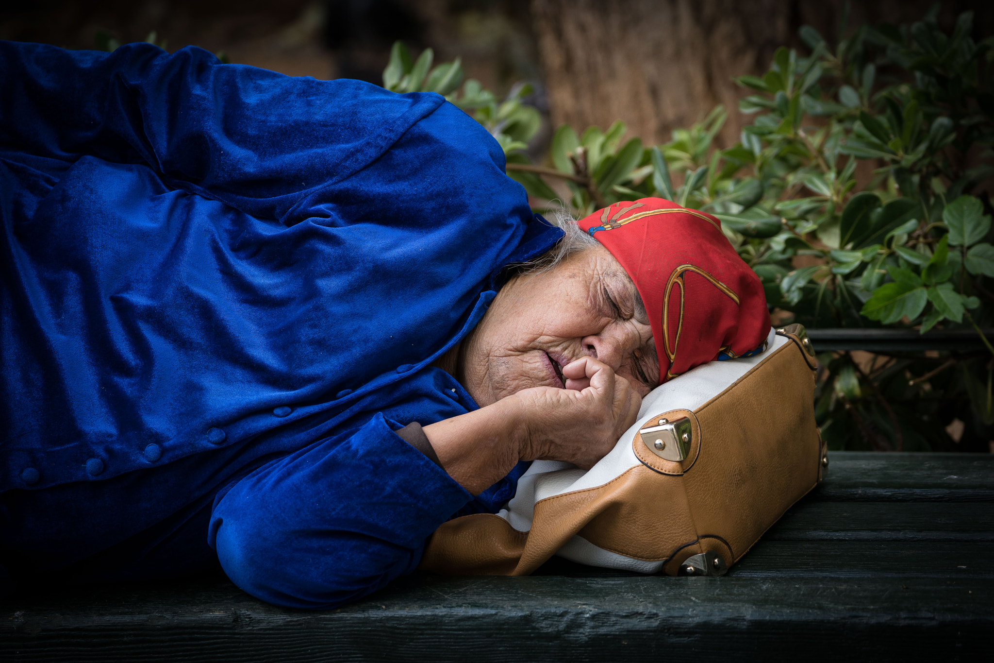 Sony 70-300mm F4.5-5.6 G SSM II sample photo. Sweet dreams photography