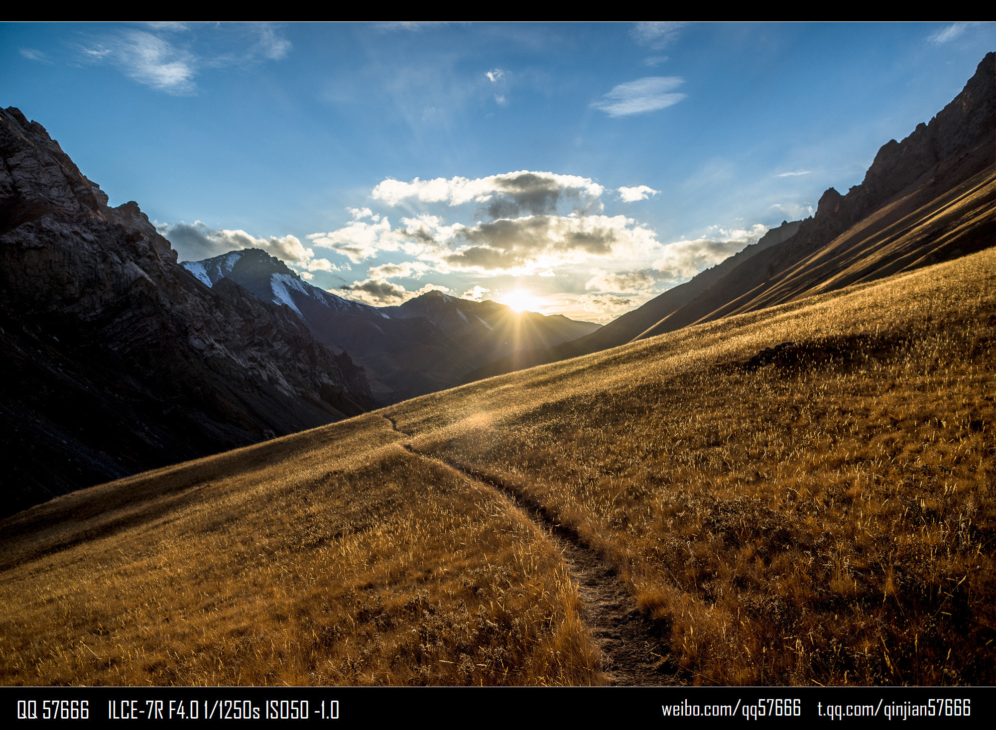 Sony a7R sample photo