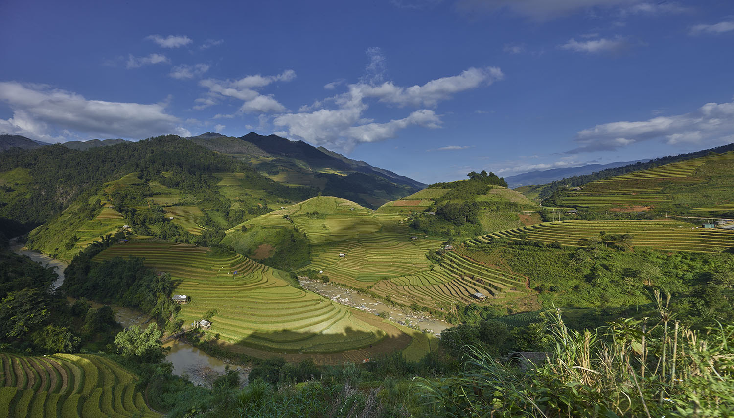 Phase One IQ260 sample photo. Mu cang chai north vietnam - the arena of the rise paddies photography