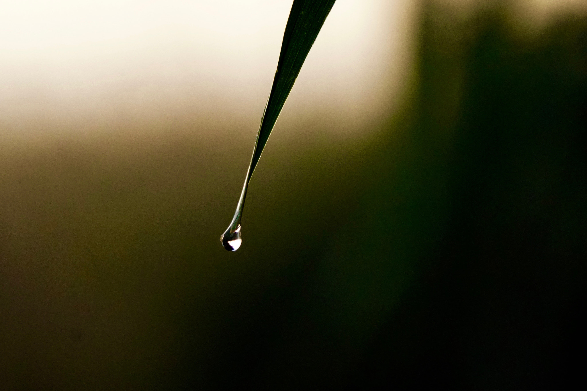 Sony E 55-210mm F4.5-6.3 OSS sample photo. Una gota photography