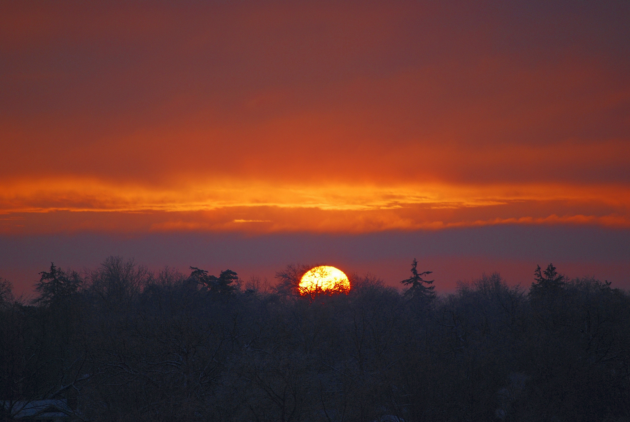 Nikon D40X sample photo. Mid winter sunrise photography