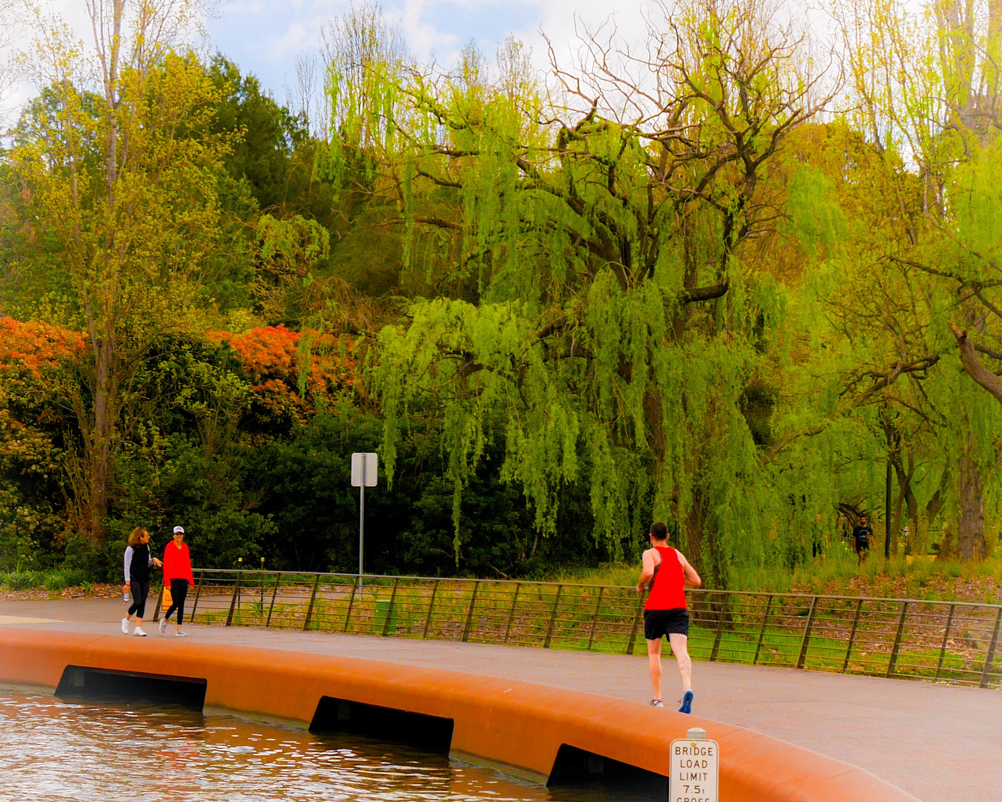 Panasonic DMC-GM1S sample photo. The runner -  location:  commonwealth park, act, australia photography