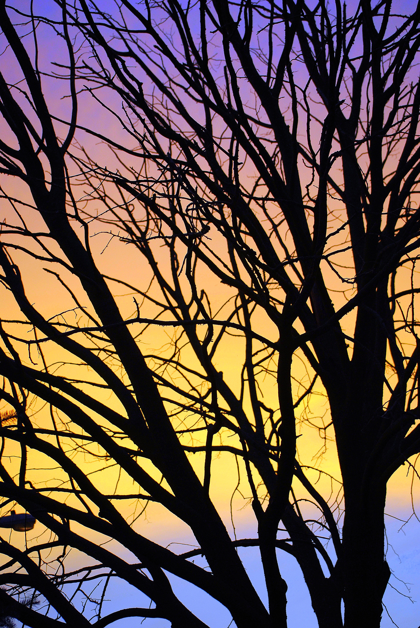 Nikon D40X sample photo. Twilight colors photography