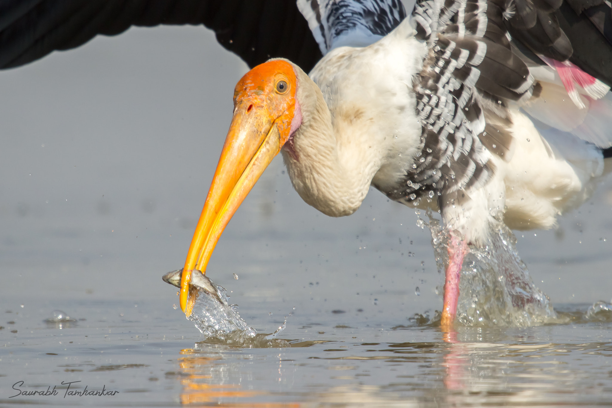 Canon EF 100-400mm F4.5-5.6L IS USM sample photo. Time for fishing photography