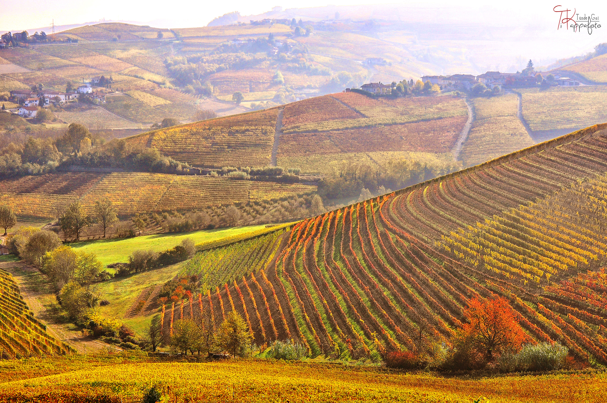 Nikon D90 + Tamron SP 24-70mm F2.8 Di VC USD sample photo. Autumn in the langhe photography