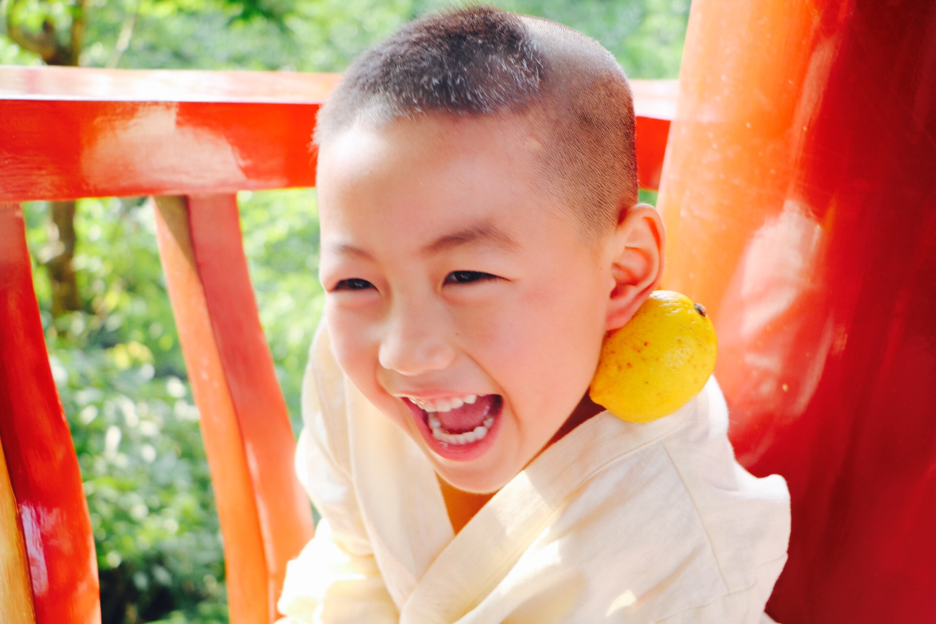 Canon EOS 760D (EOS Rebel T6s / EOS 8000D) sample photo. Lemon boy photography