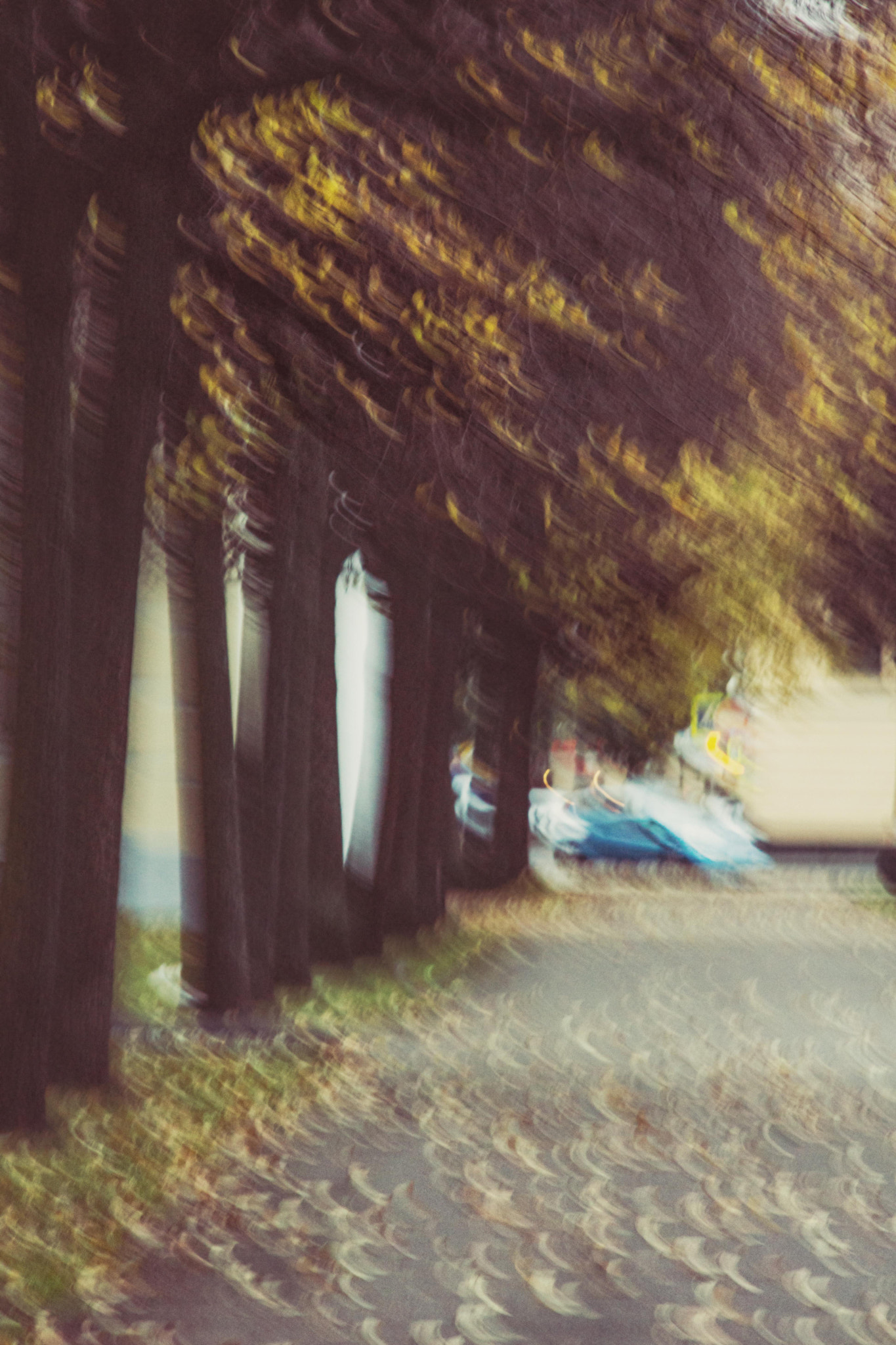Sony SLT-A77 + Minolta AF 50mm F1.7 sample photo. Autumn photography