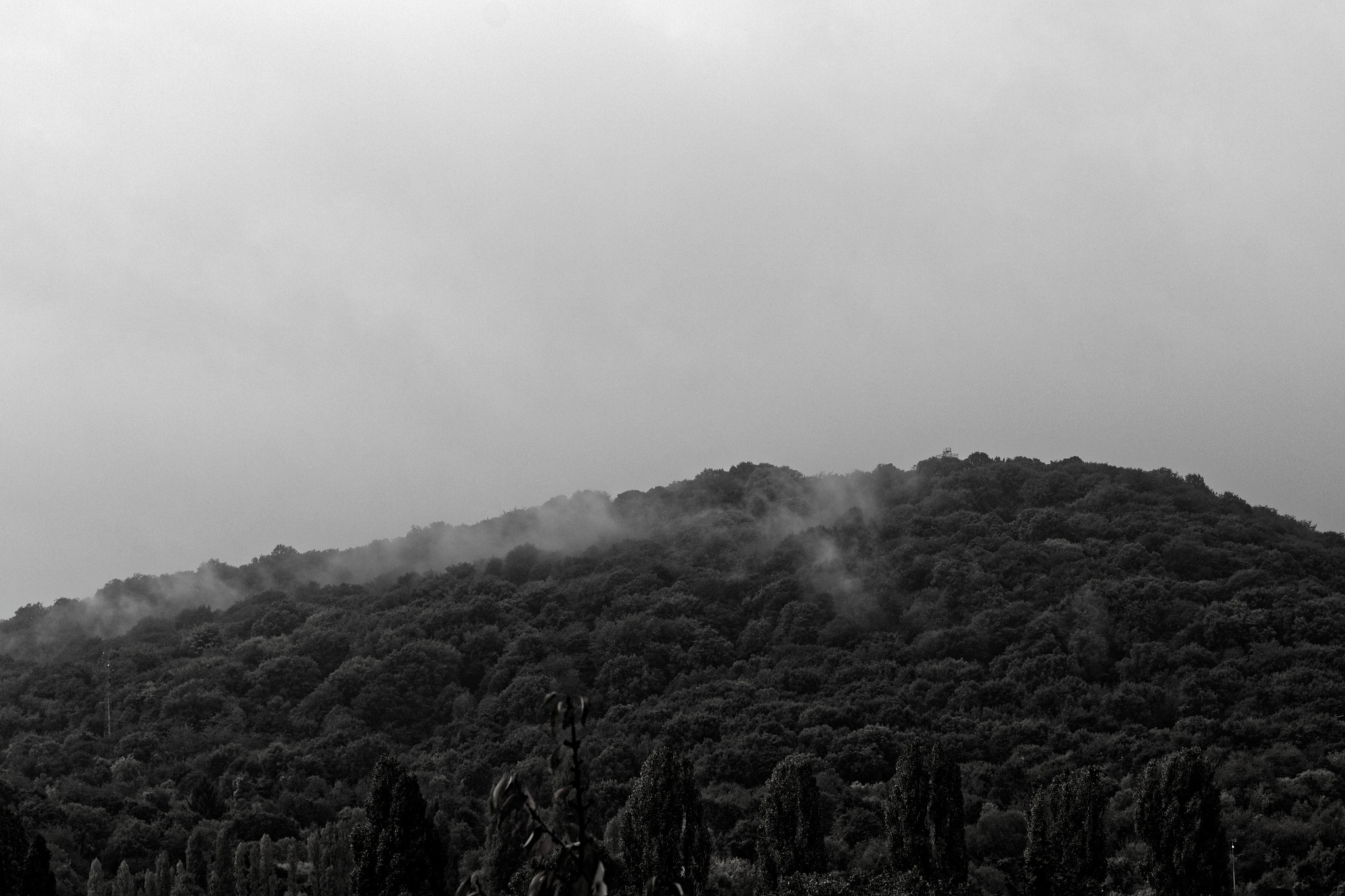 Sigma 17-70mm F2.8-4 DC Macro OS HSM sample photo. La brume sur la côte photography