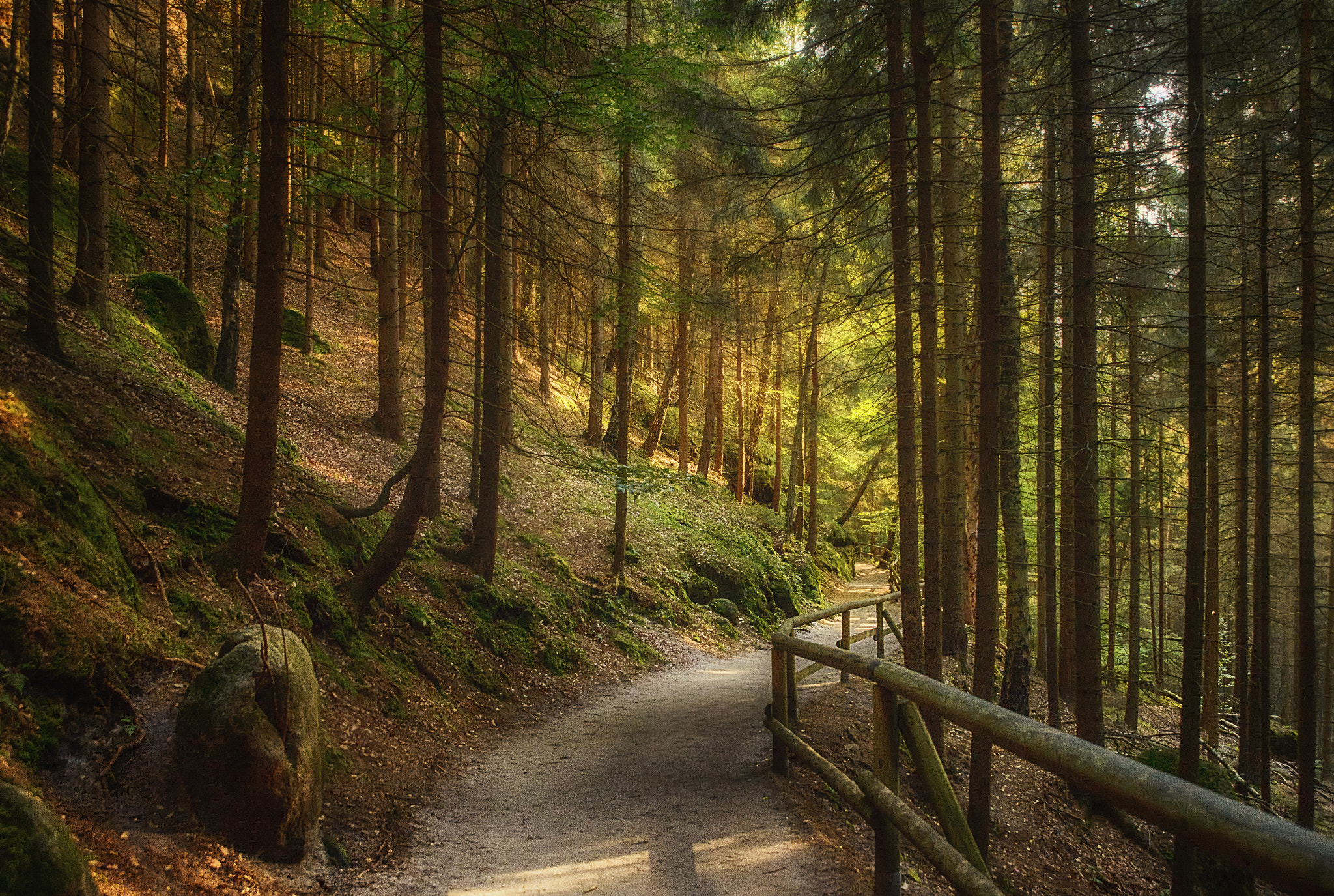 The pathway by Елизавета Вавилова | 500px