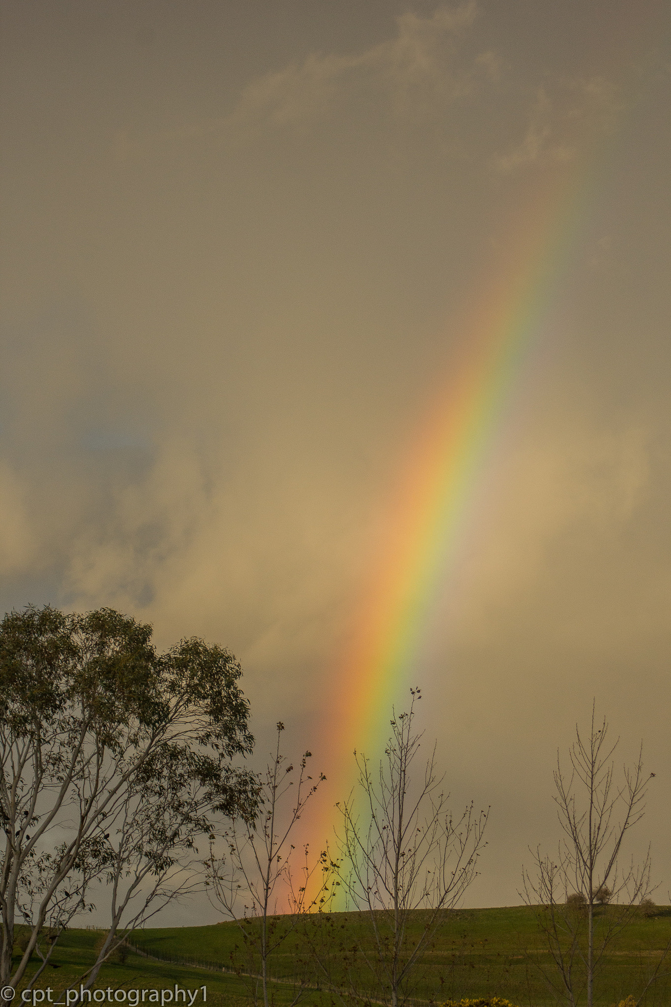 Canon EF 28-80mm f/3.5-5.6 sample photo