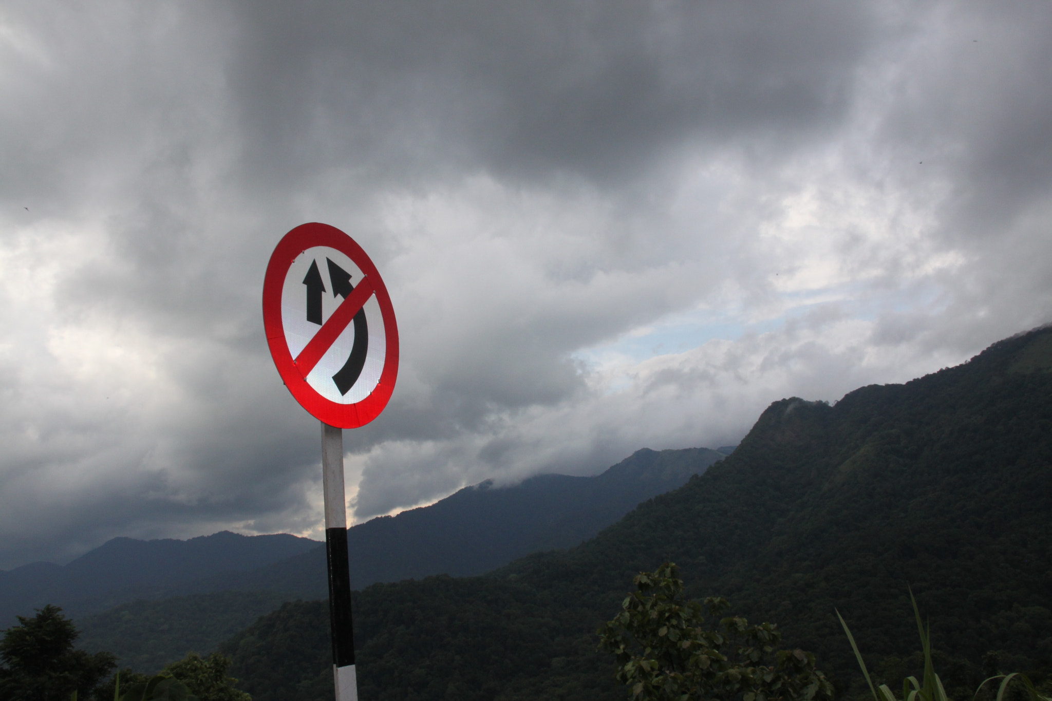 Sigma 18-200mm f/3.5-6.3 DC OS sample photo. Natural lights... photography