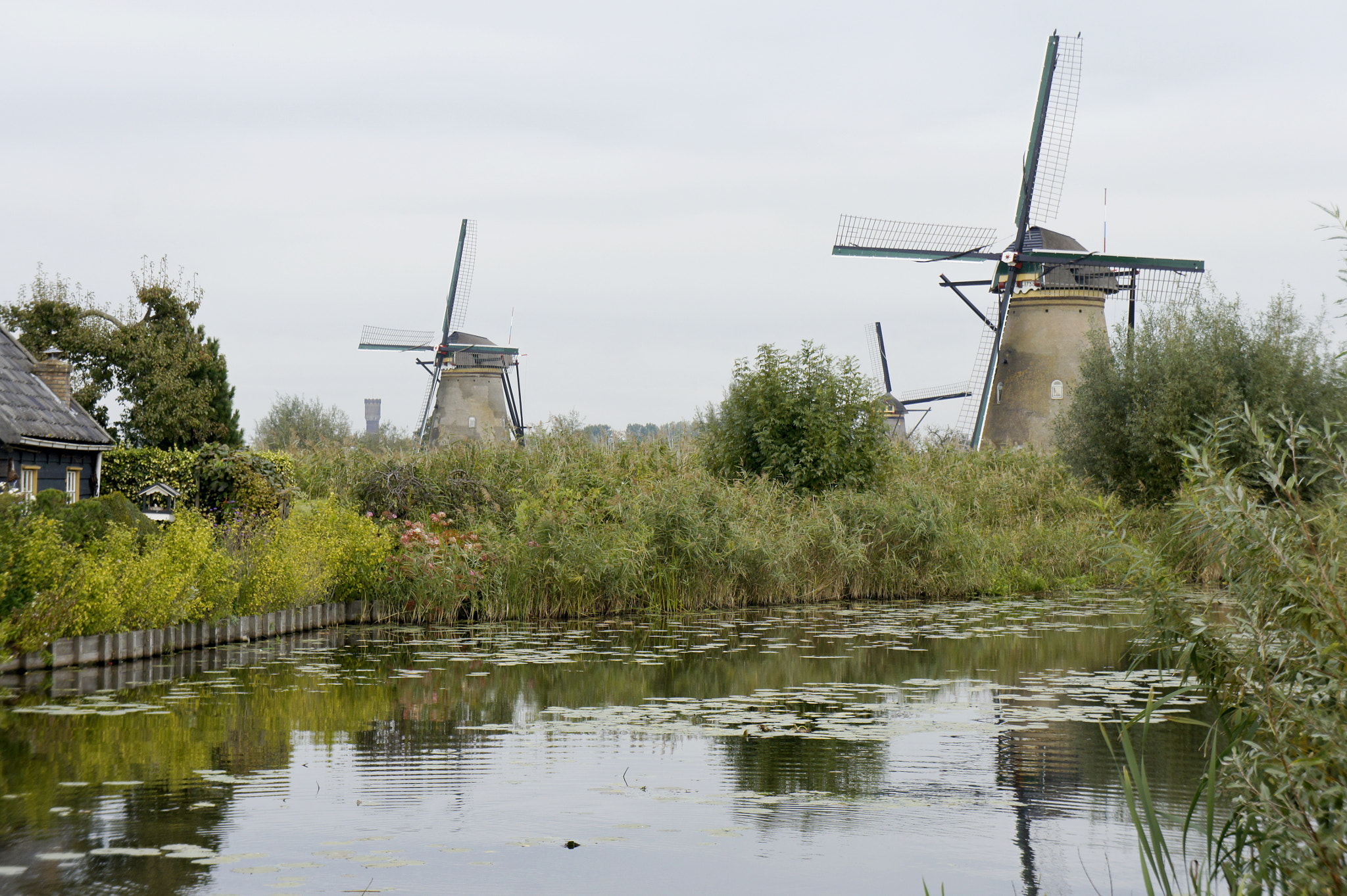 Sony Alpha NEX-3 sample photo. Beautiful holland - windmills photography