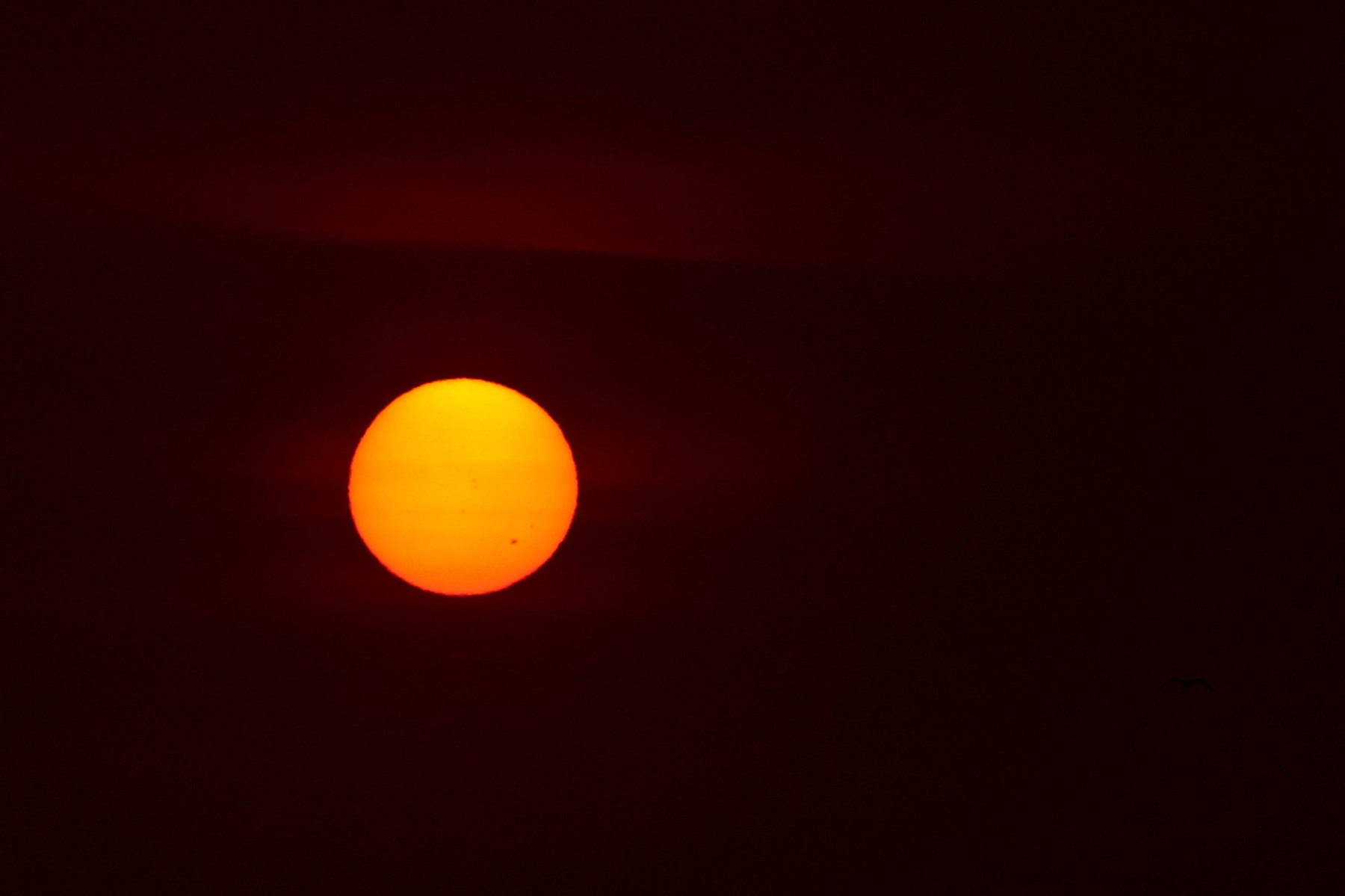 Canon EOS D30 + Canon EF 75-300mm F4.0-5.6 IS USM sample photo. Sunspots with eos d30 photography