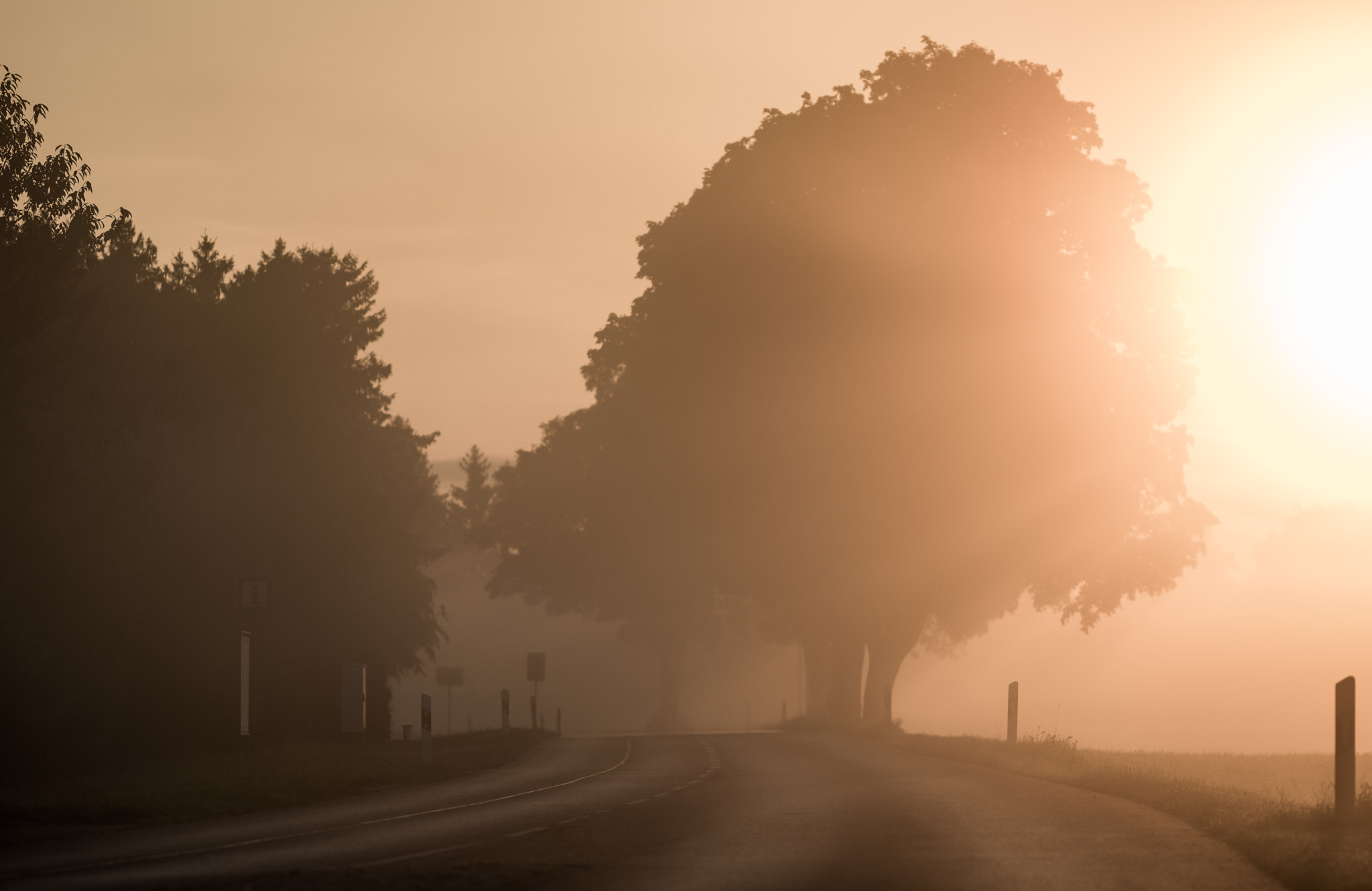 Pentax K-3 II sample photo. Morning mood photography